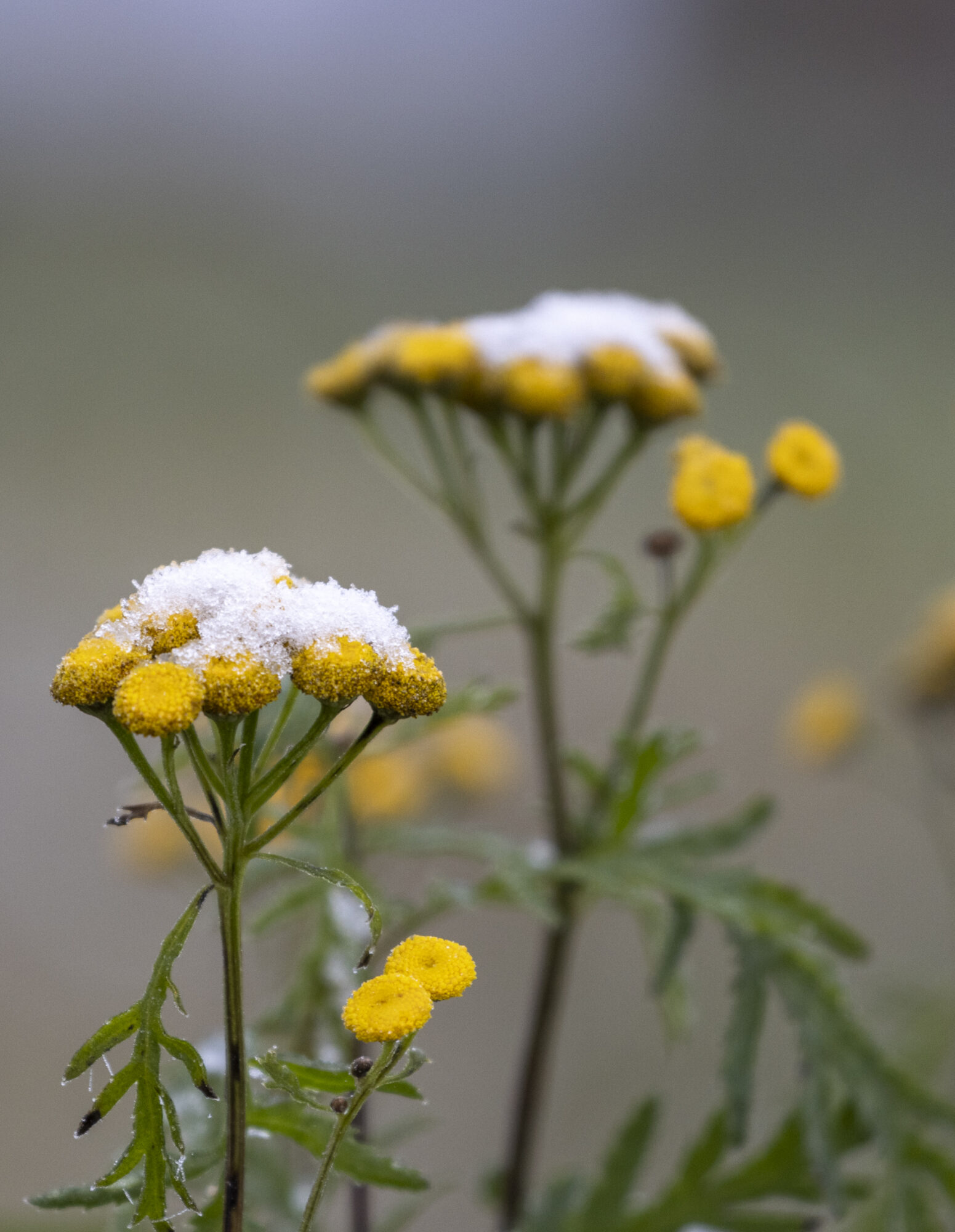 Valokuvaaja: Hannu Tikkanen
