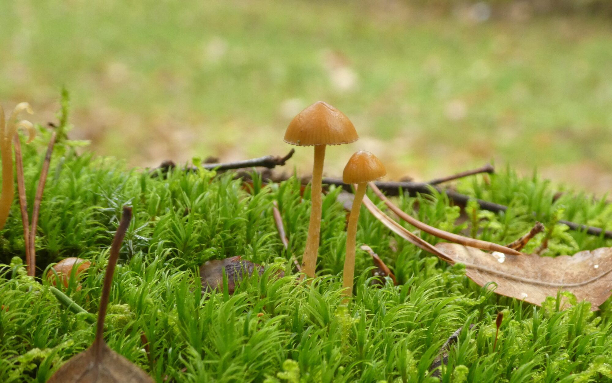 Valokuvaaja: Anja Mustamaa