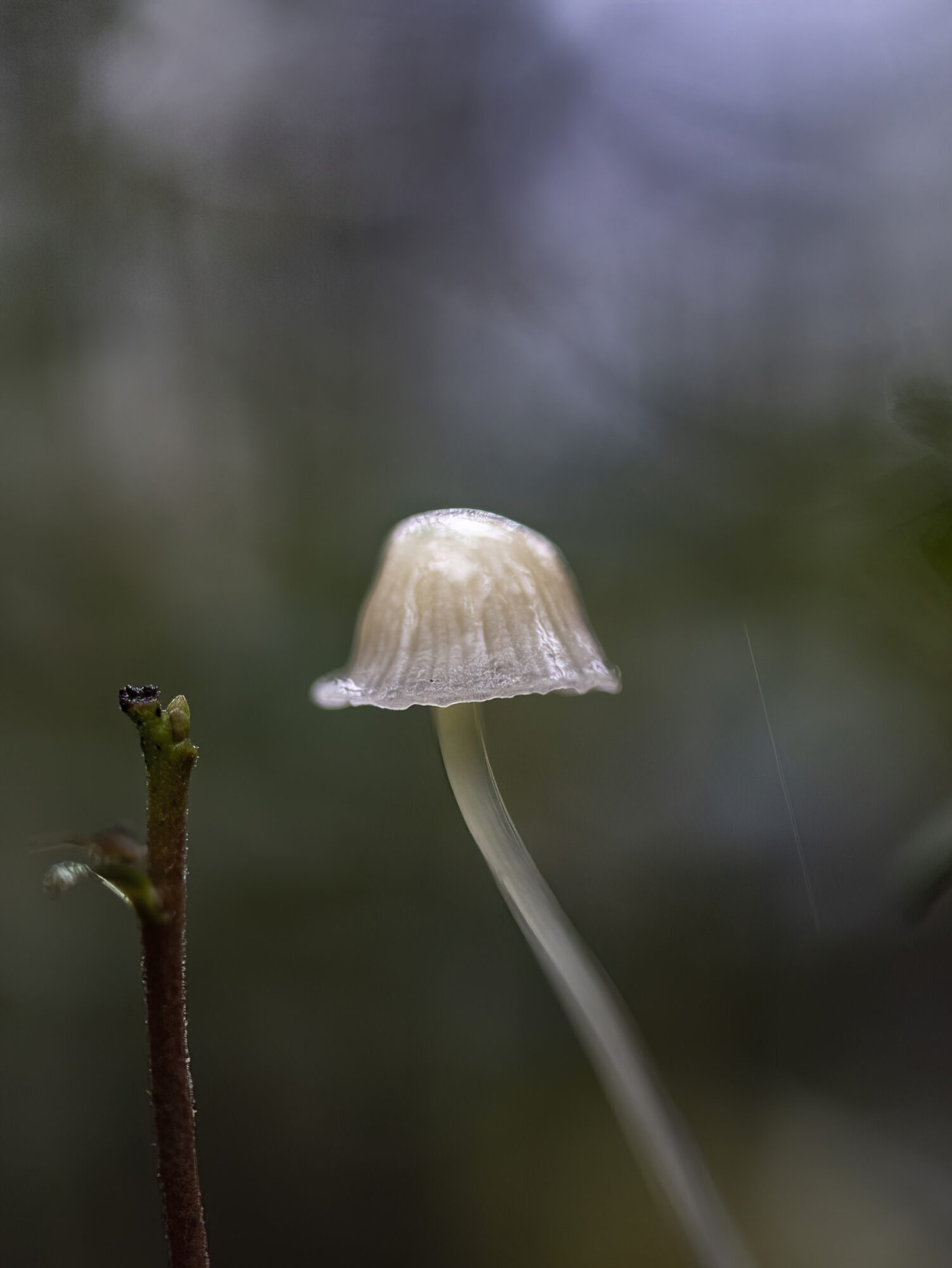 Valokuvaaja: Hannu Tikkanen