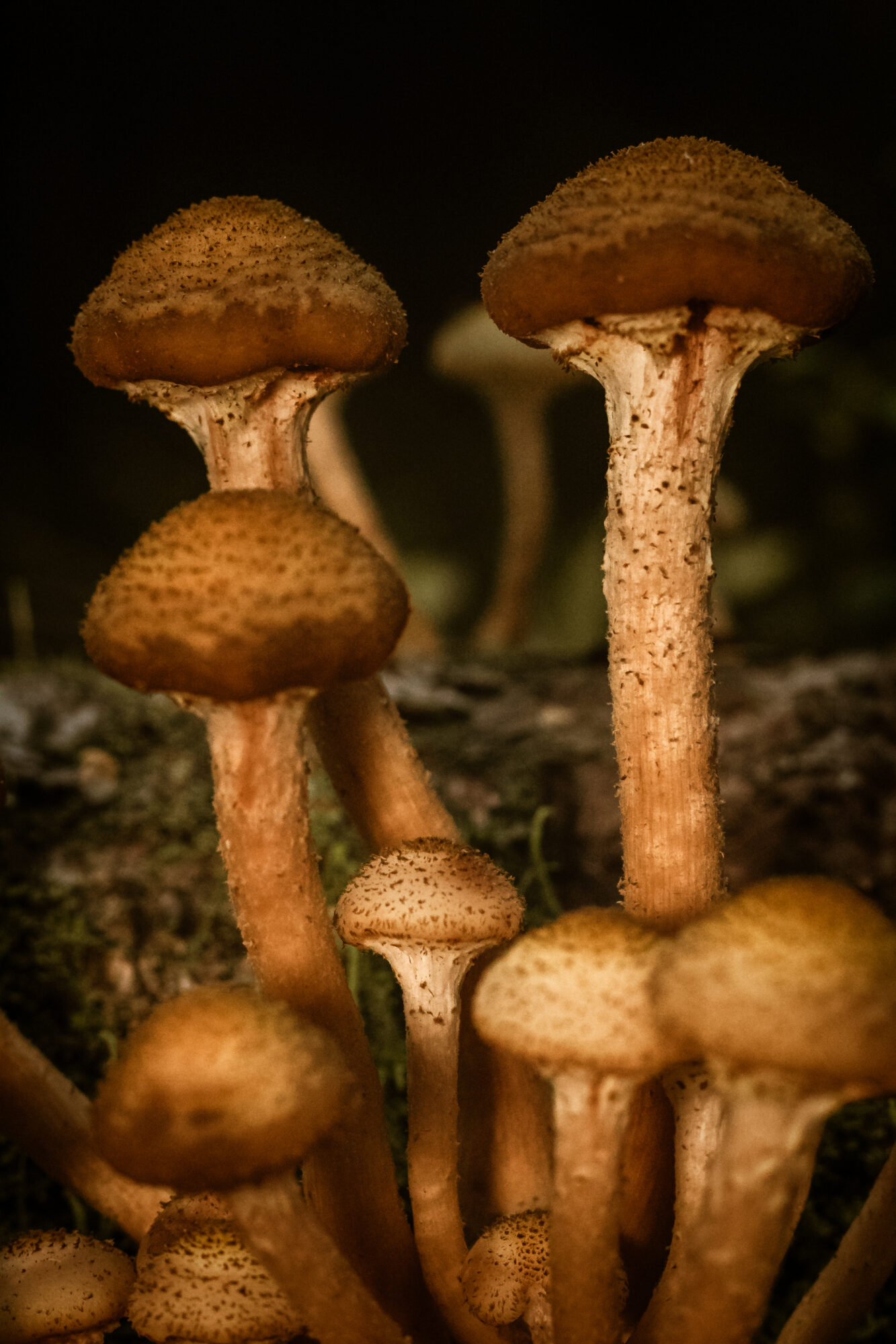 Valokuvaaja: Elias Sahlberg