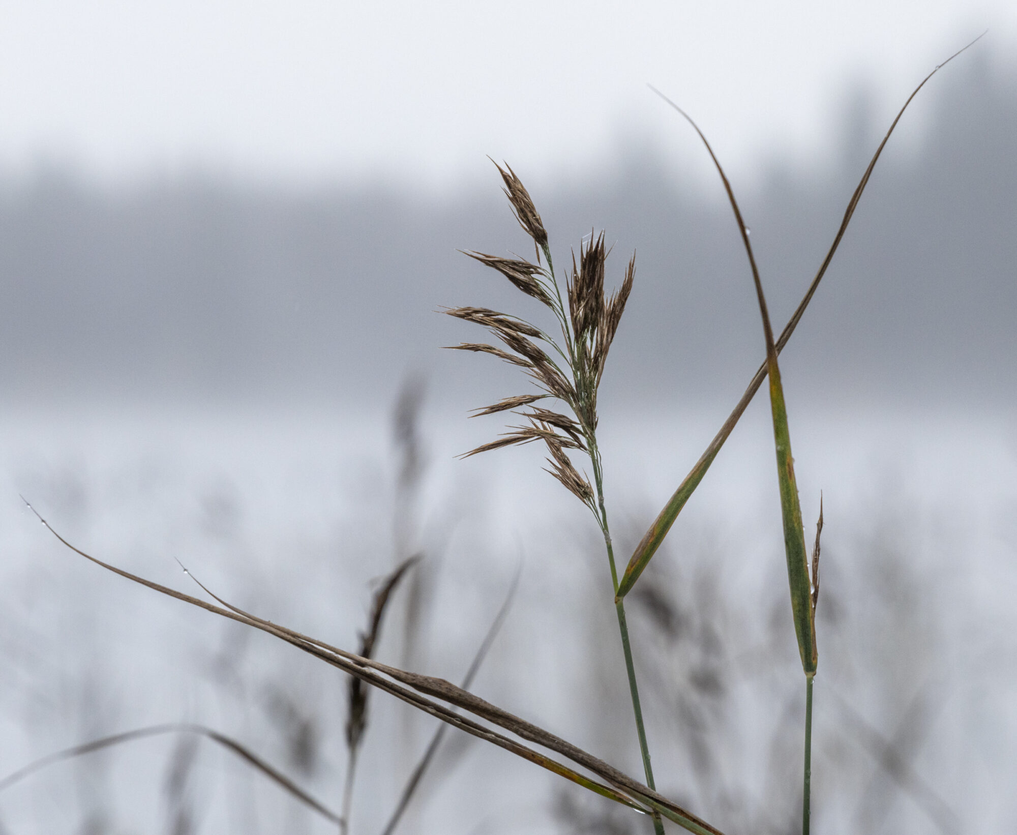 Valokuvaaja: Hannu Tikkanen