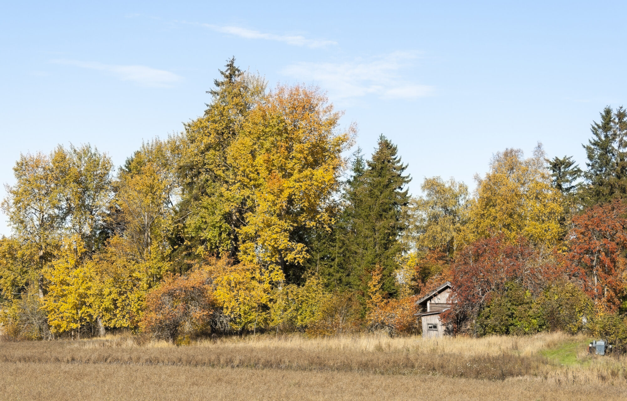 Valokuvaaja: Katri Mäkinen