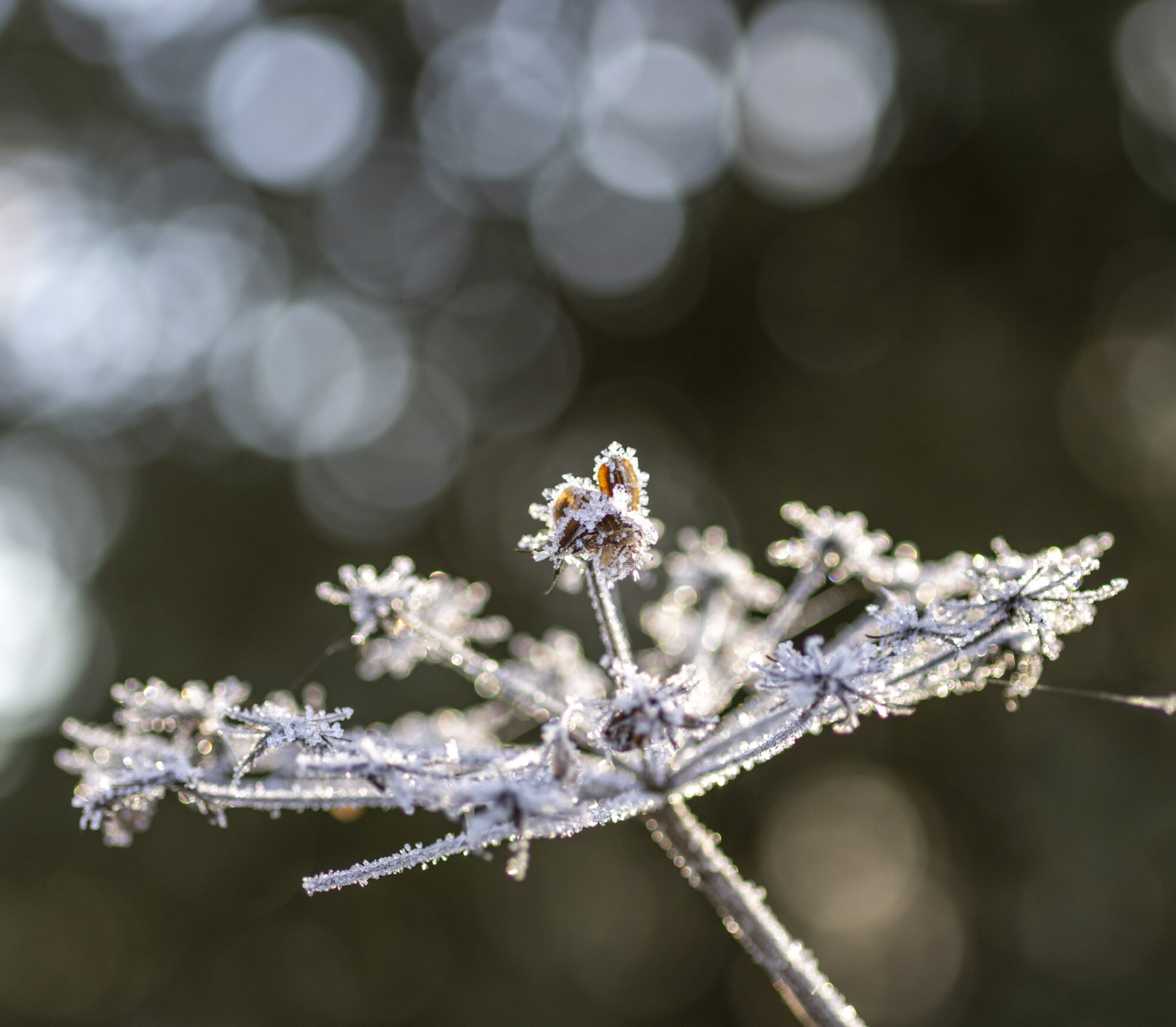 Valokuvaaja: Hannu Tikkanen