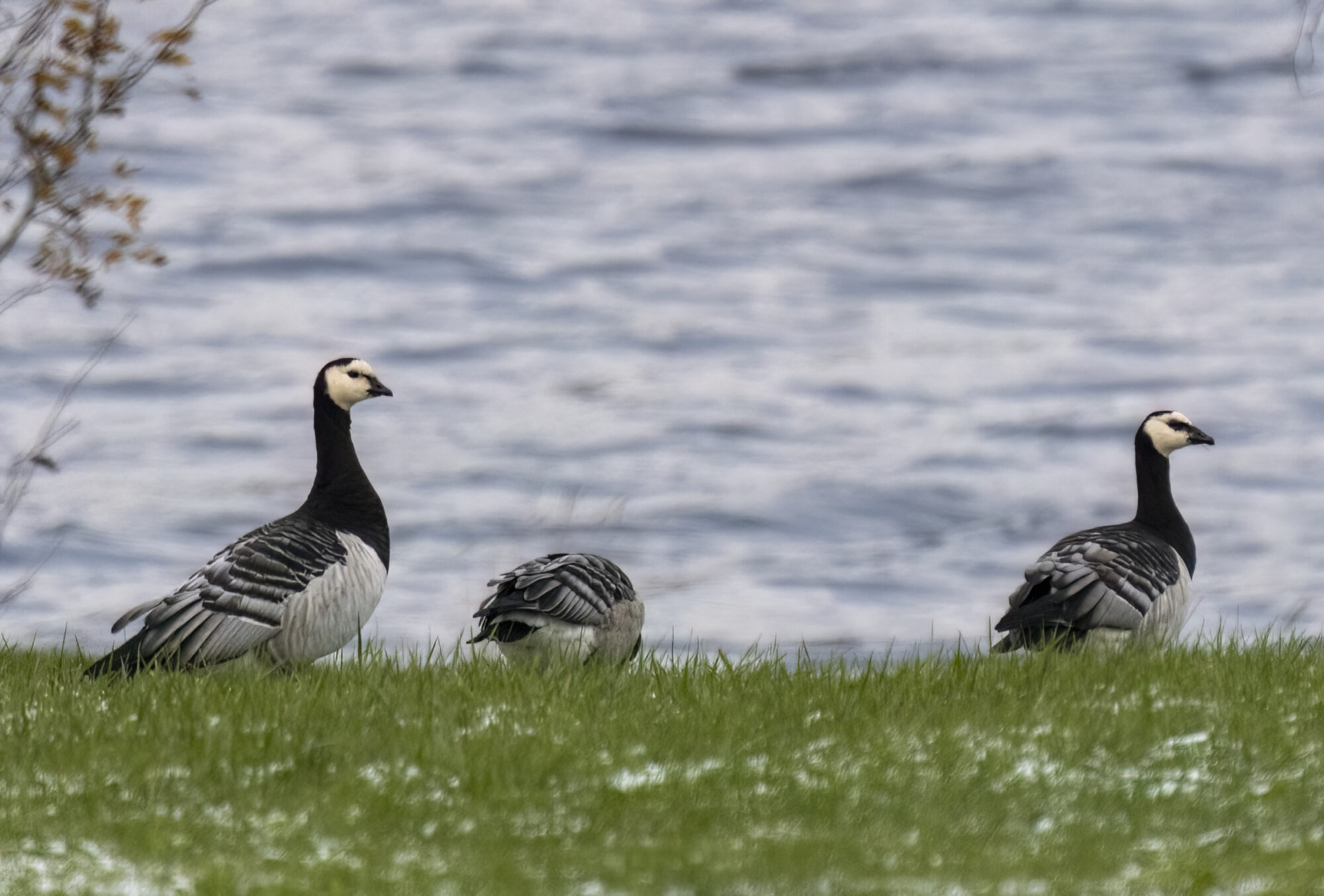Valokuvaaja: Hannu Tikkanen Valokuvaaja: Hannu Tikkanen