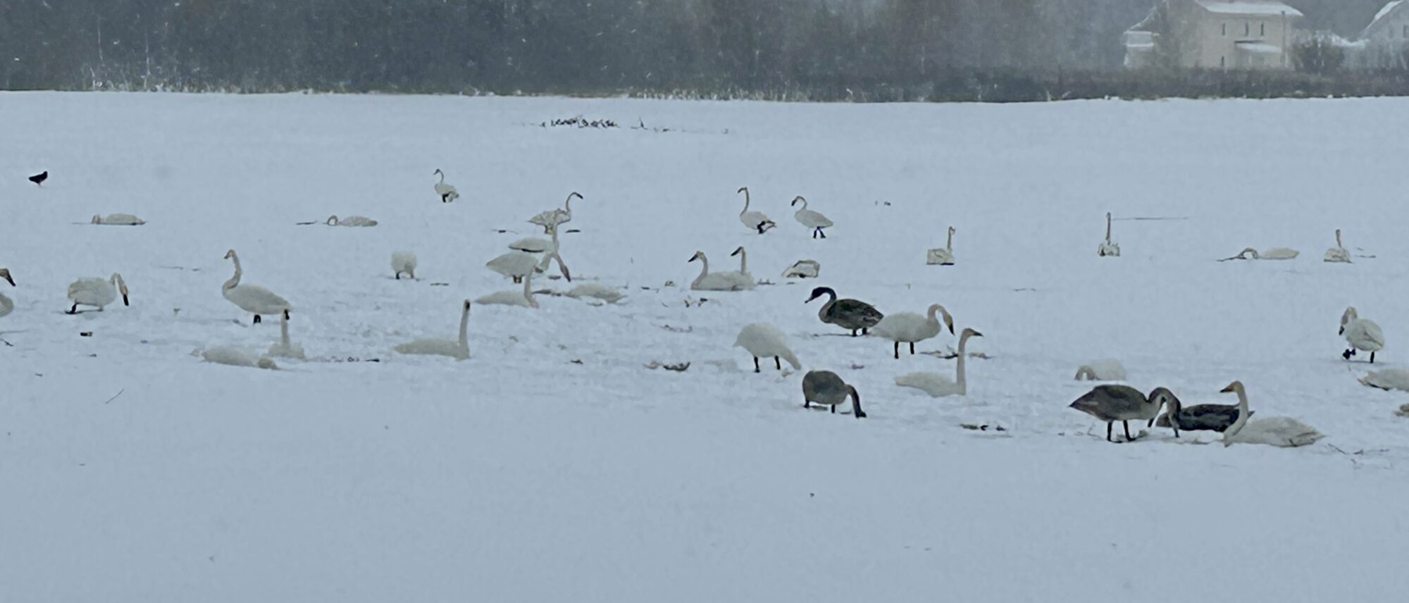Valokuvaaja: Tapio Keinonen