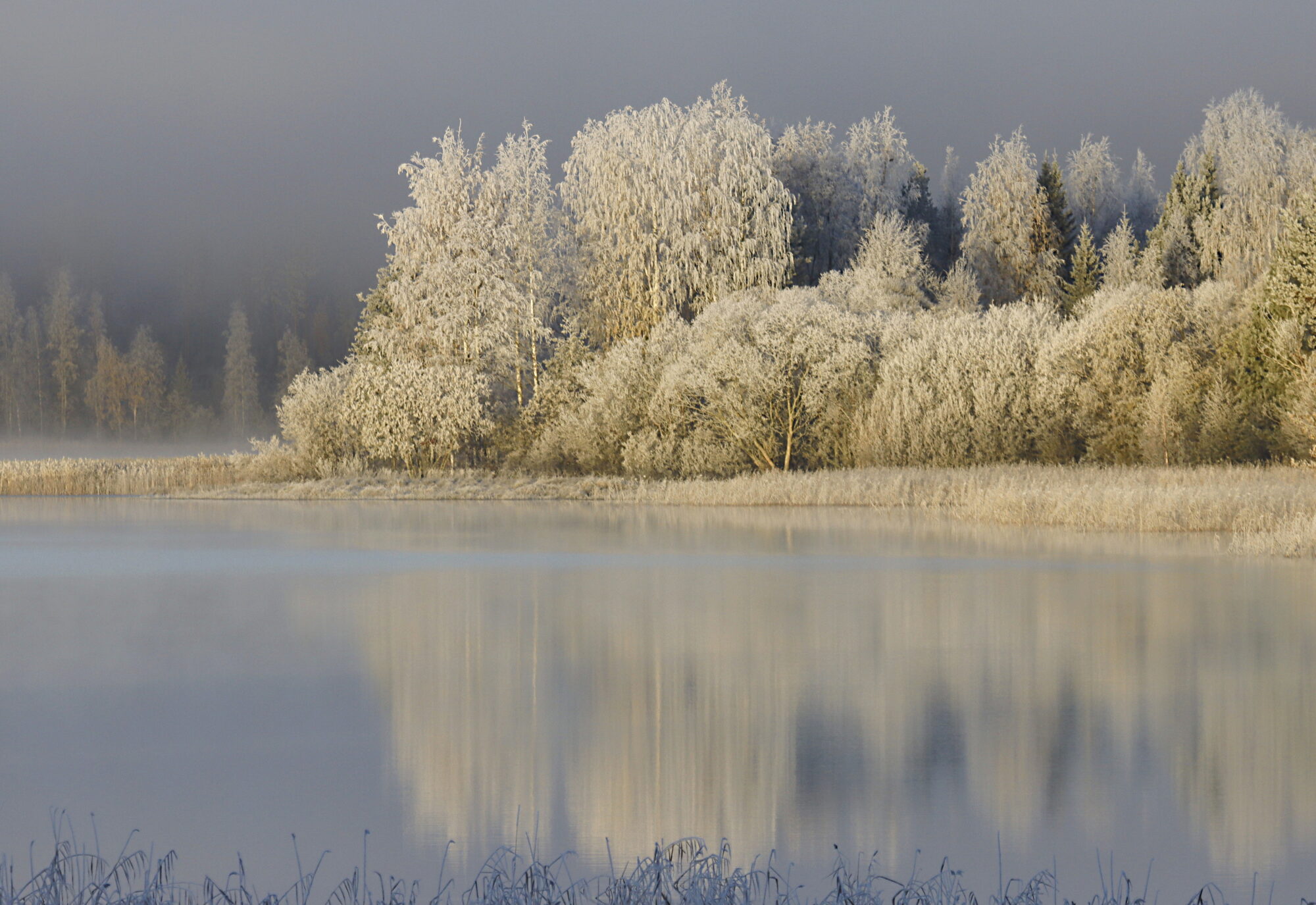 Valokuvaaja: Ritva Nieminen