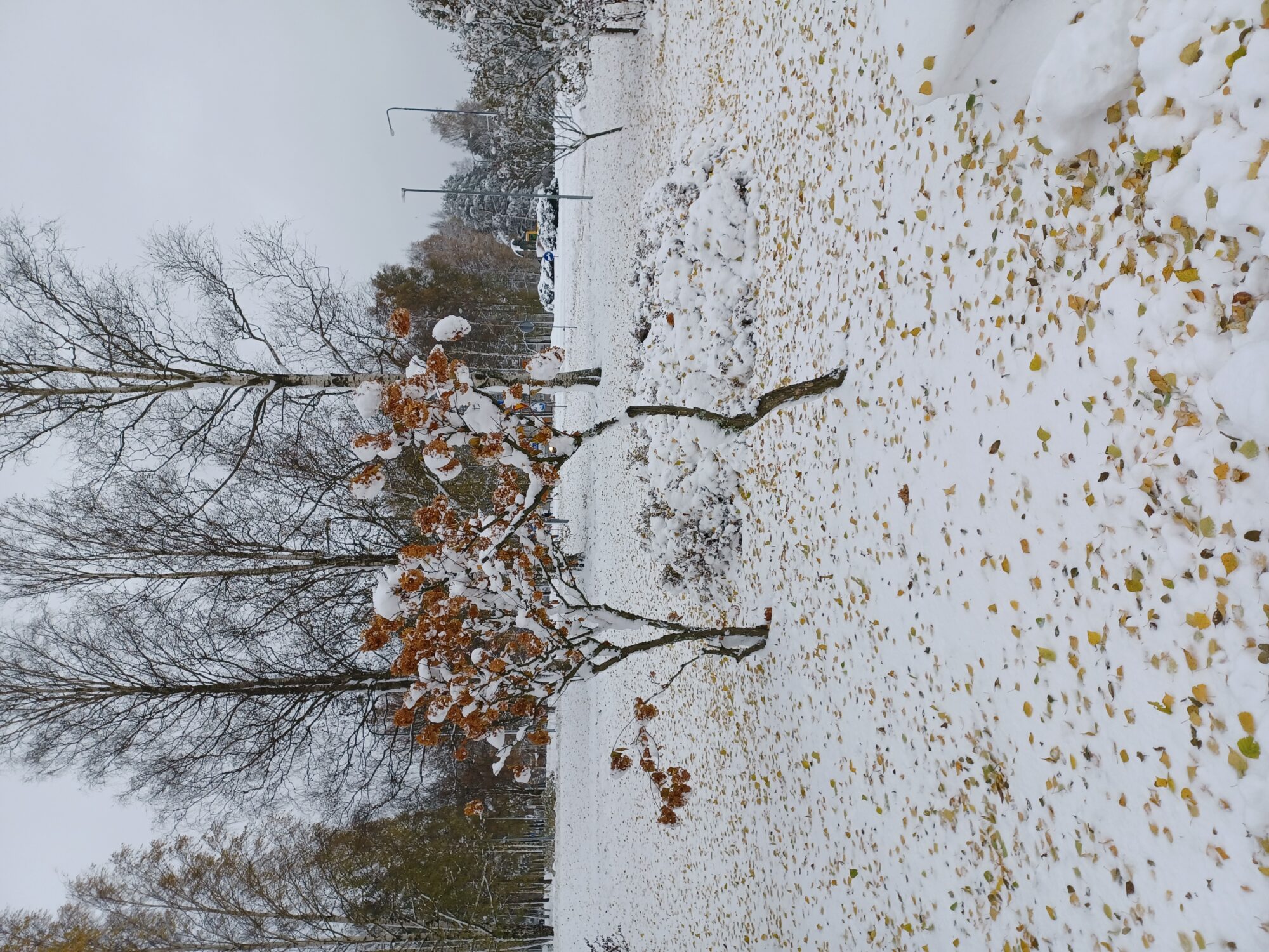 Valokuvaaja: Katja Ketola