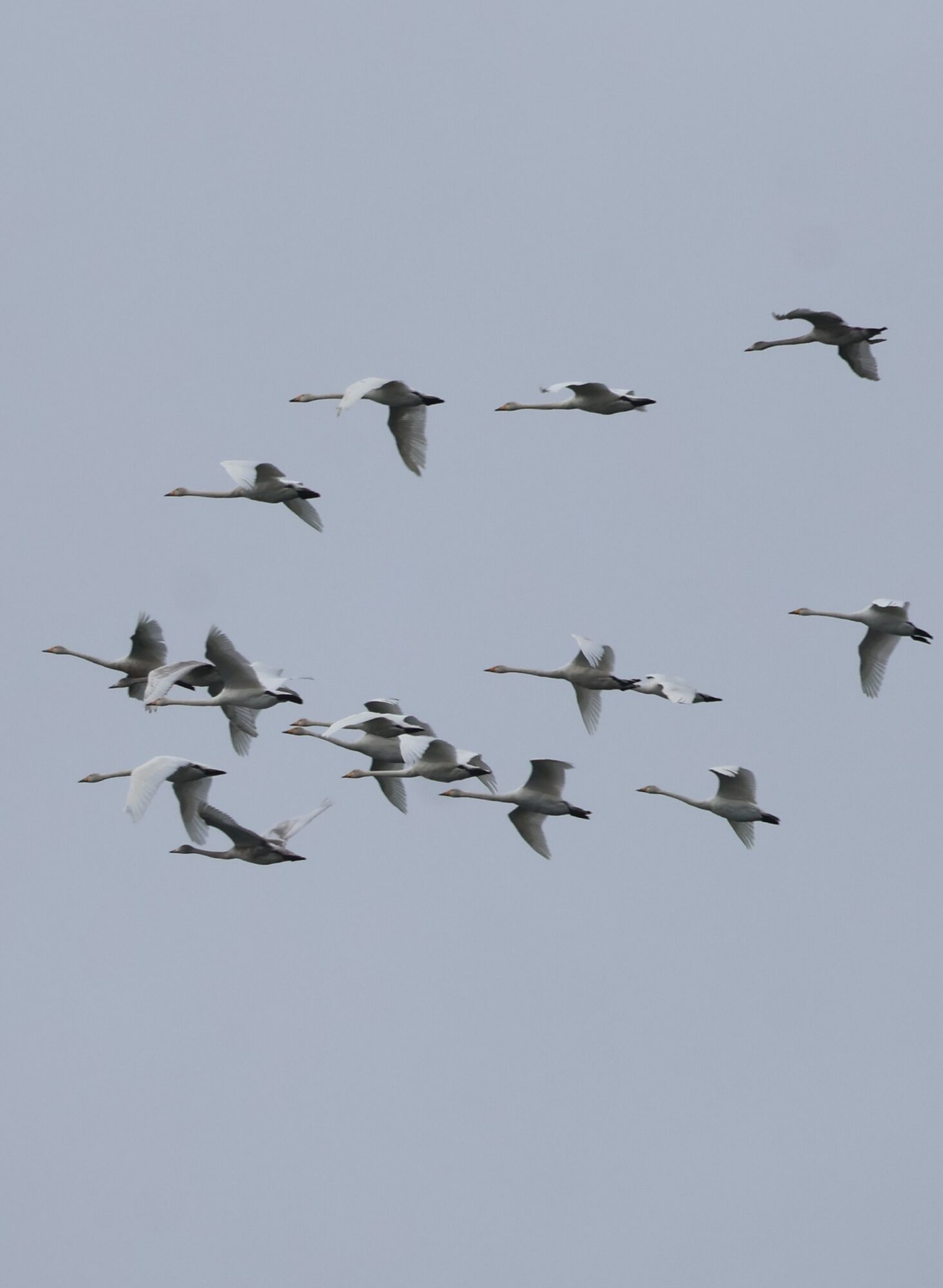 Valokuvaaja: Hanna Rönty