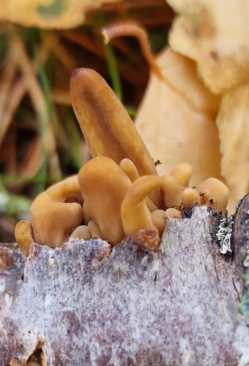 Valokuvaaja: Hanna Rönty