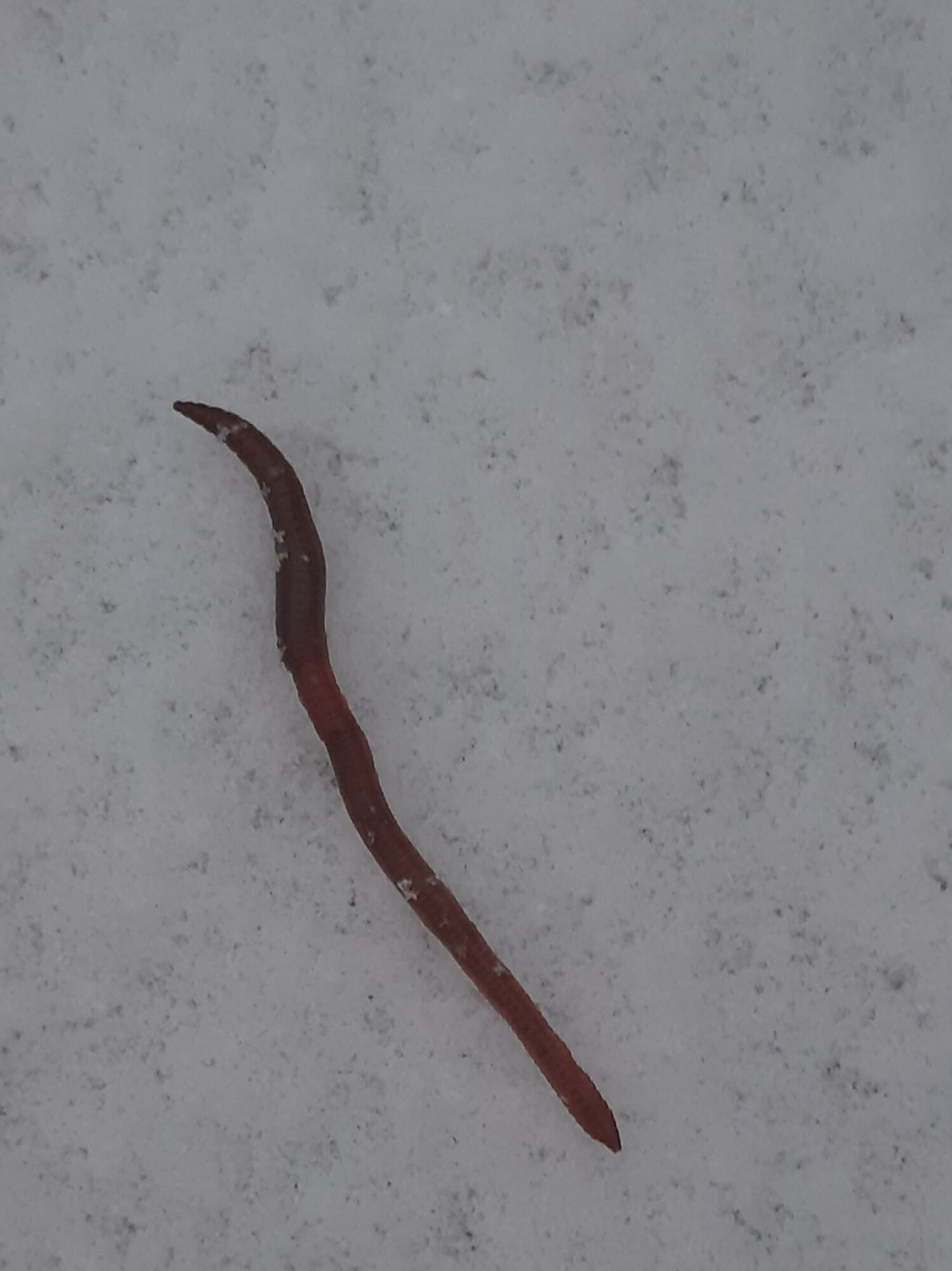 Valokuvaaja: Auli Feldt