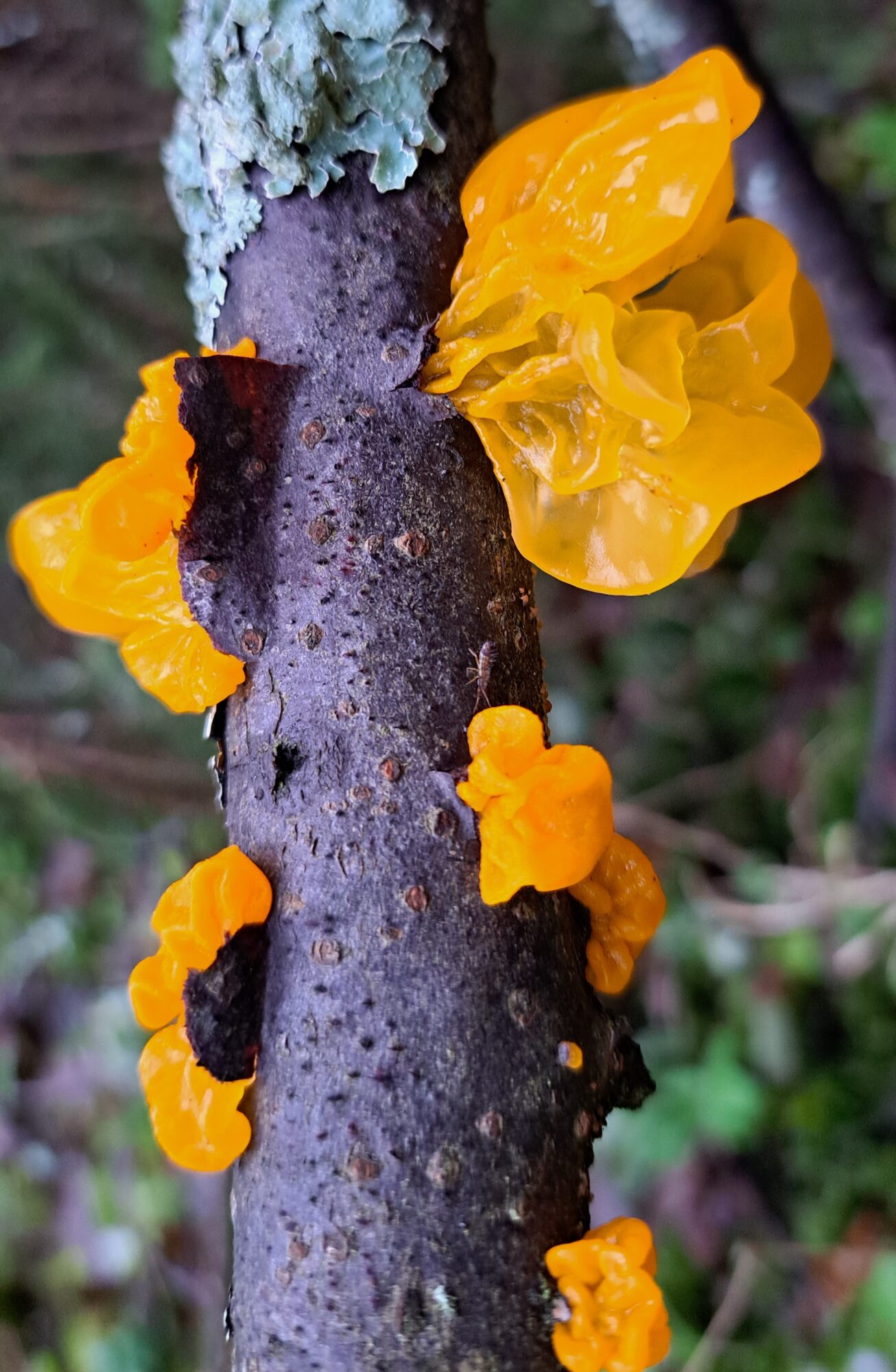 Valokuvaaja: Irja Lehtinen