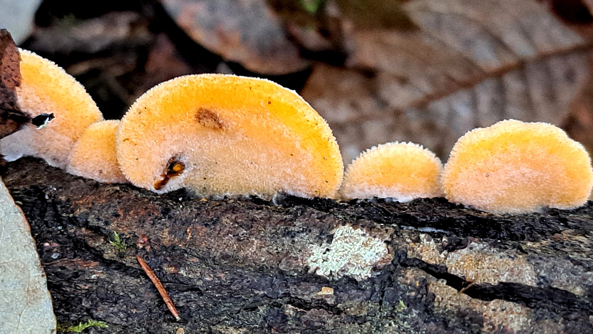 Valokuvaaja: Irja Lehtinen