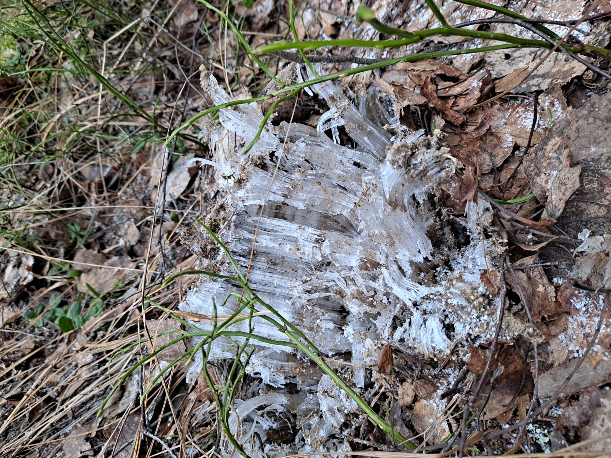 Valokuvaaja: Satu Suuntala