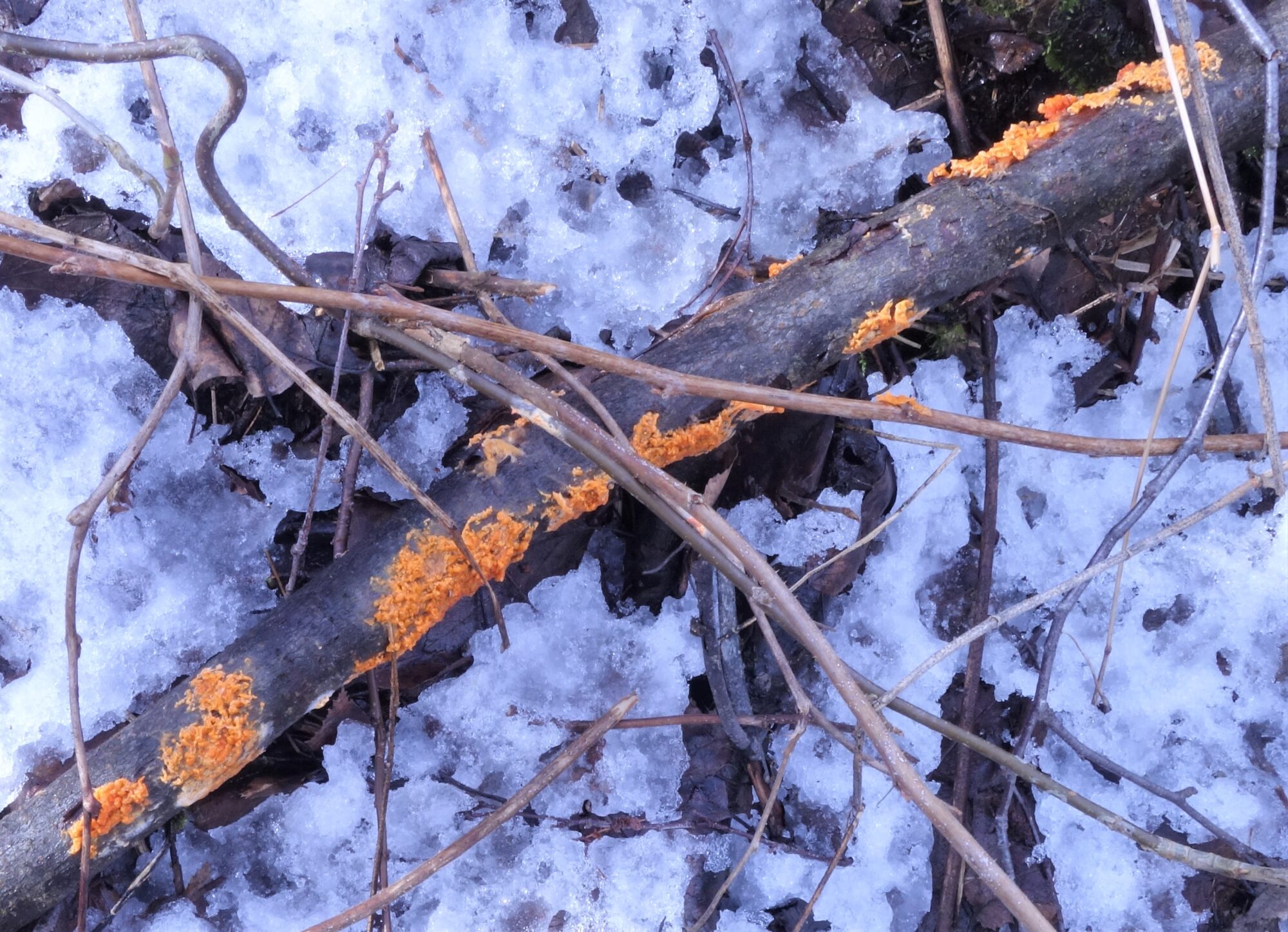 Valokuvaaja: Kaarina Heiskanen