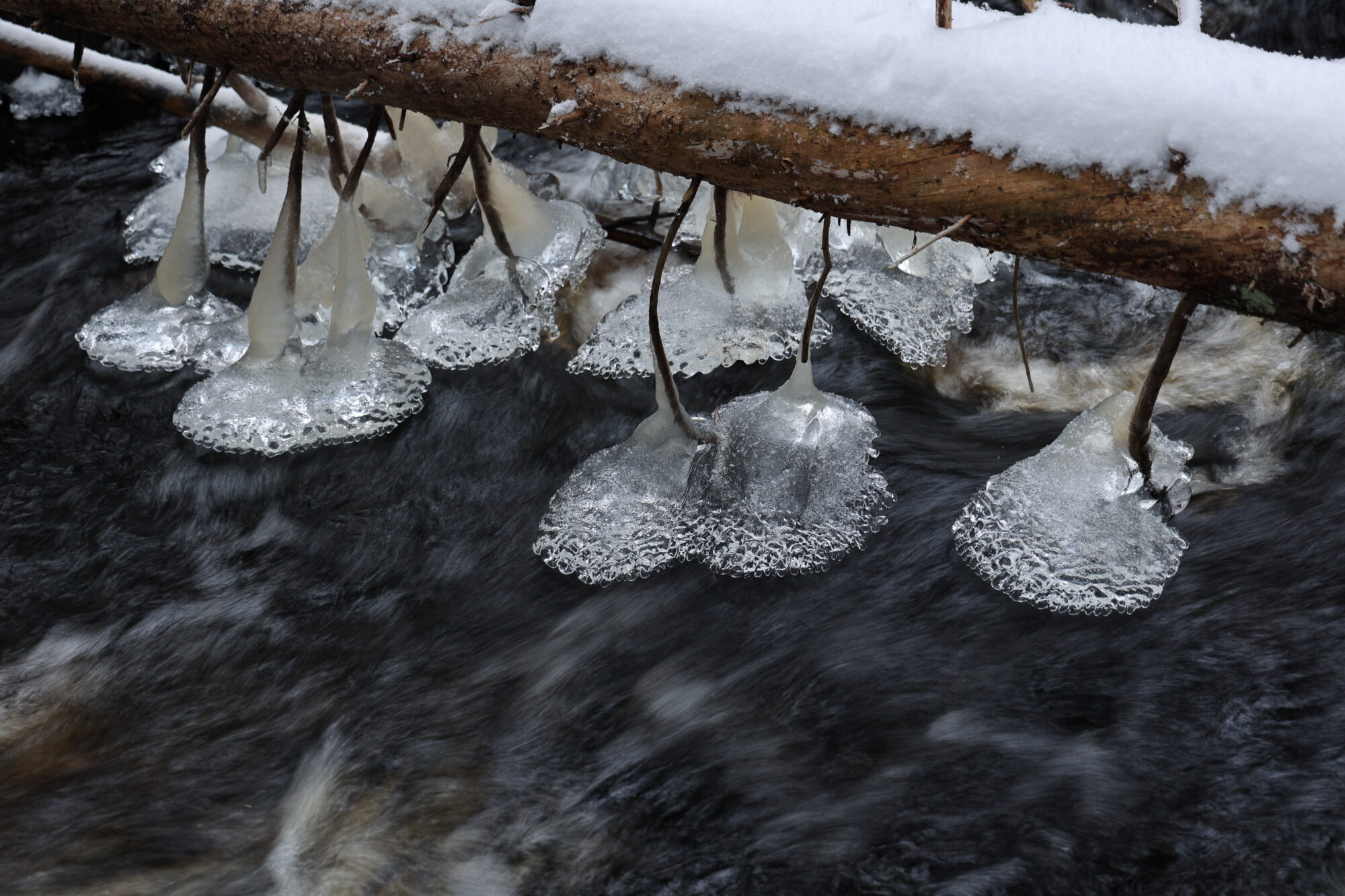 Valokuvaaja: Kaarina Heiskanen
