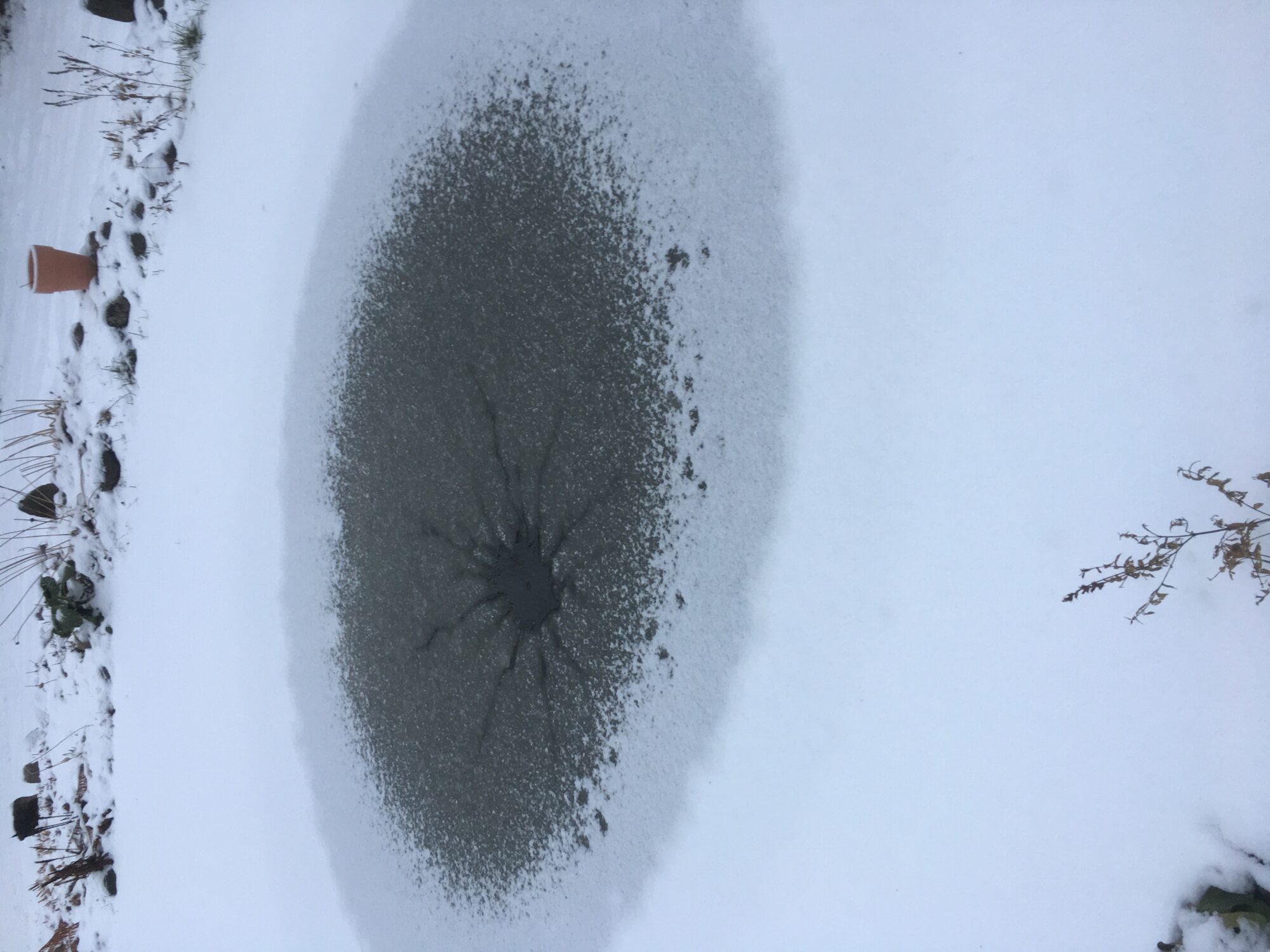 Valokuvaaja: Eira Leppänen