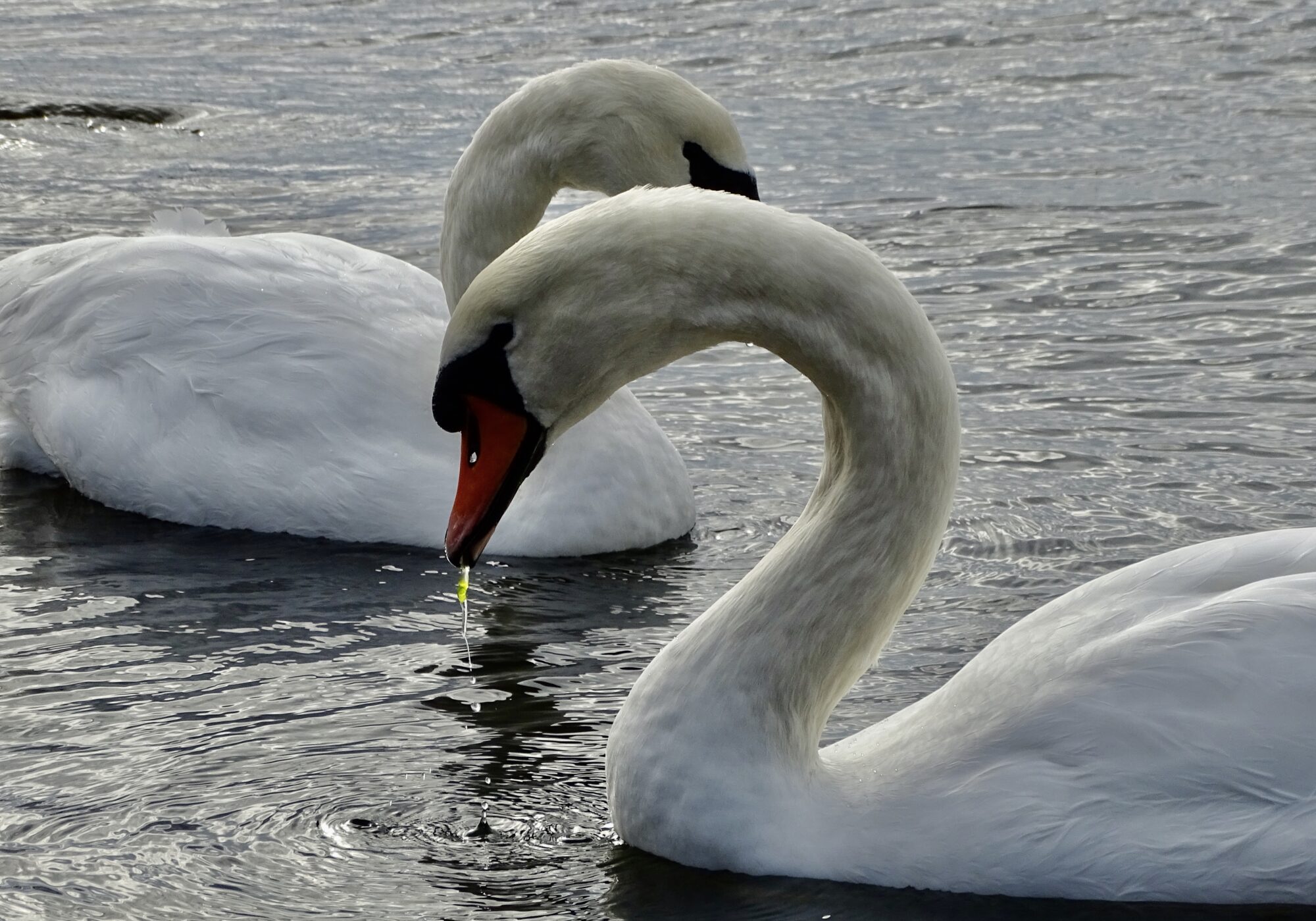 Valokuvaaja: Juhani Peltonen