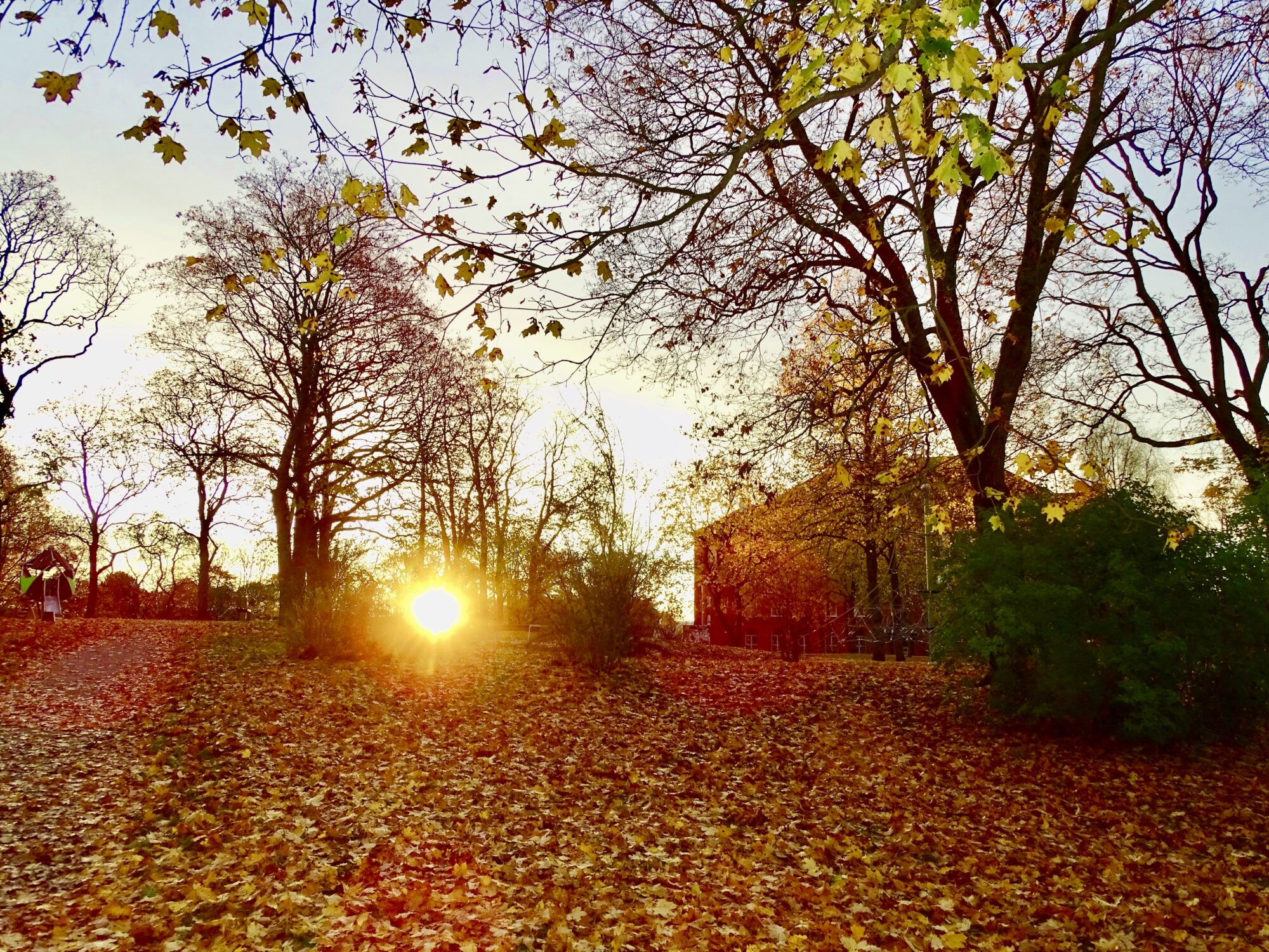 Valokuvaaja: Juhani Peltonen