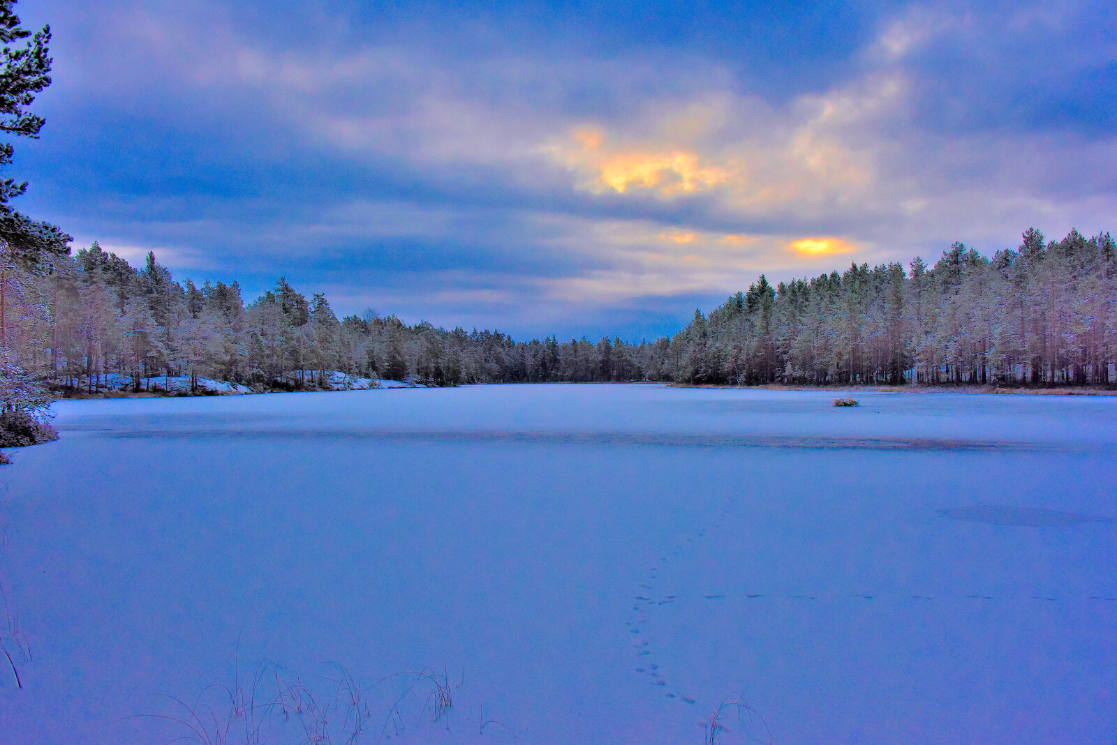 Valokuvaaja: Reijo Juurinen