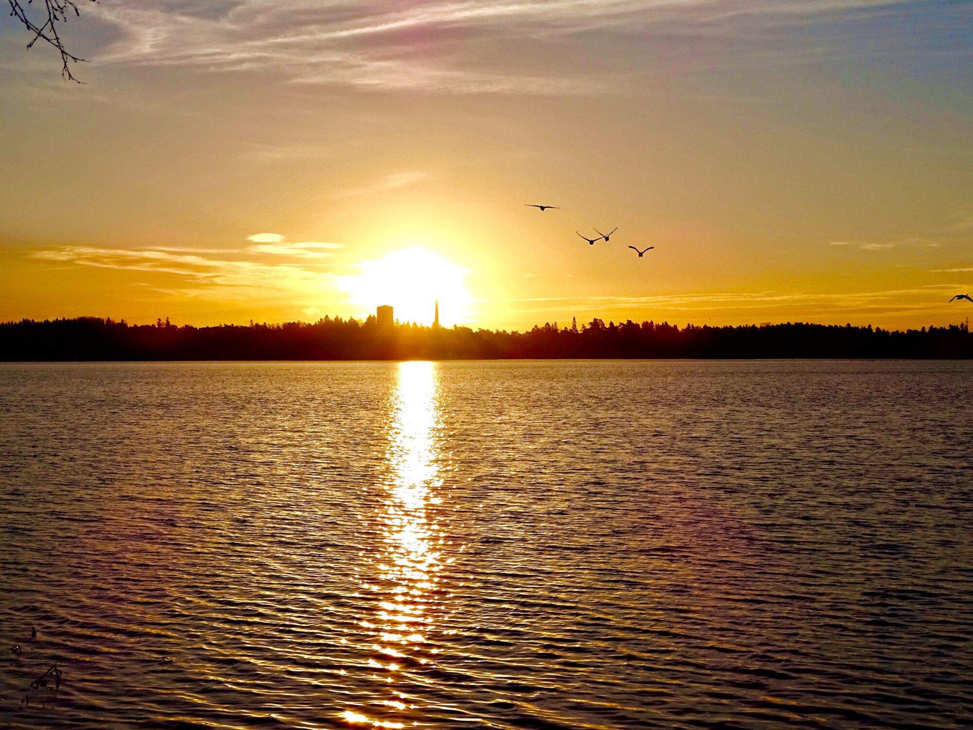 Valokuvaaja: Juhani Peltonen Valokuvaaja: Juhani Peltonen