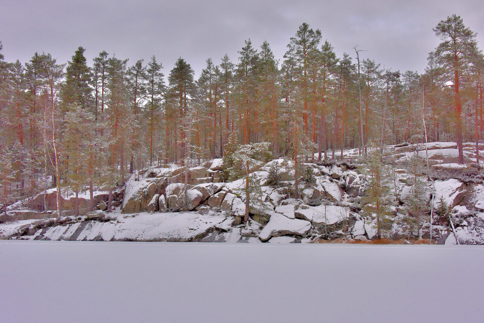 Valokuvaaja: Reijo Juurinen Valokuvaaja: Reijo Juurinen