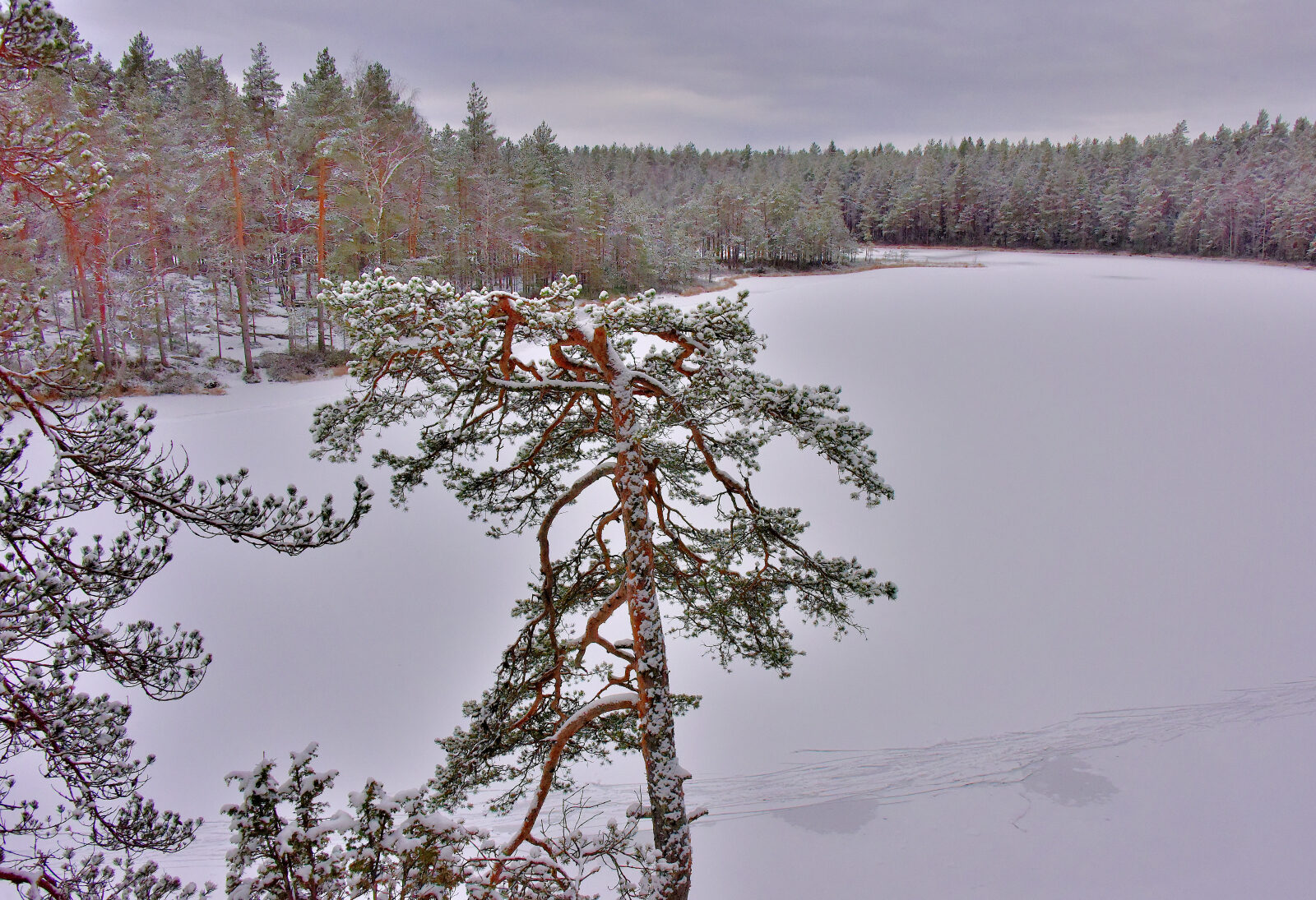 Valokuvaaja: Reijo Juurinen