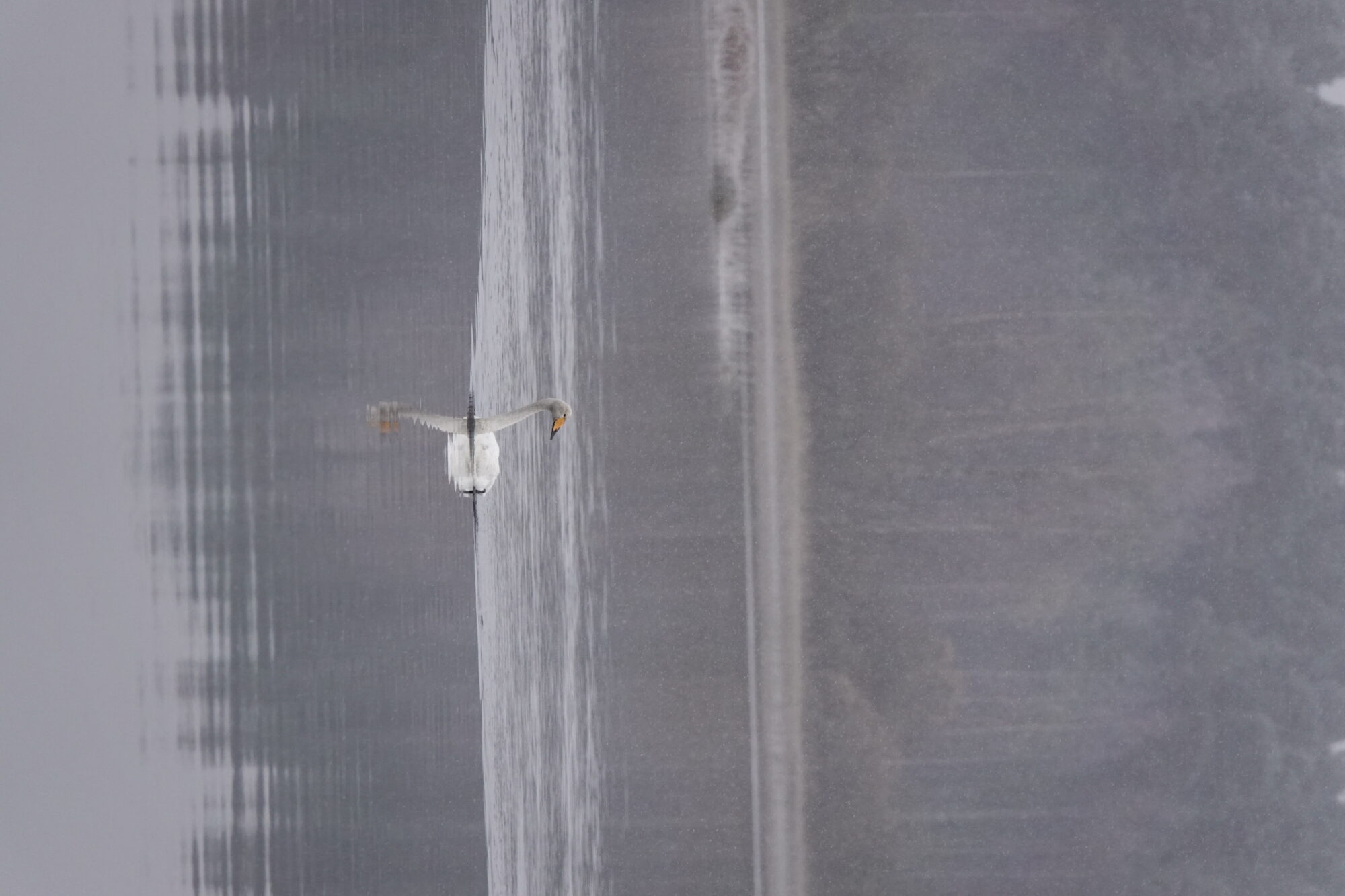 Valokuvaaja: Jenna Pitkänen