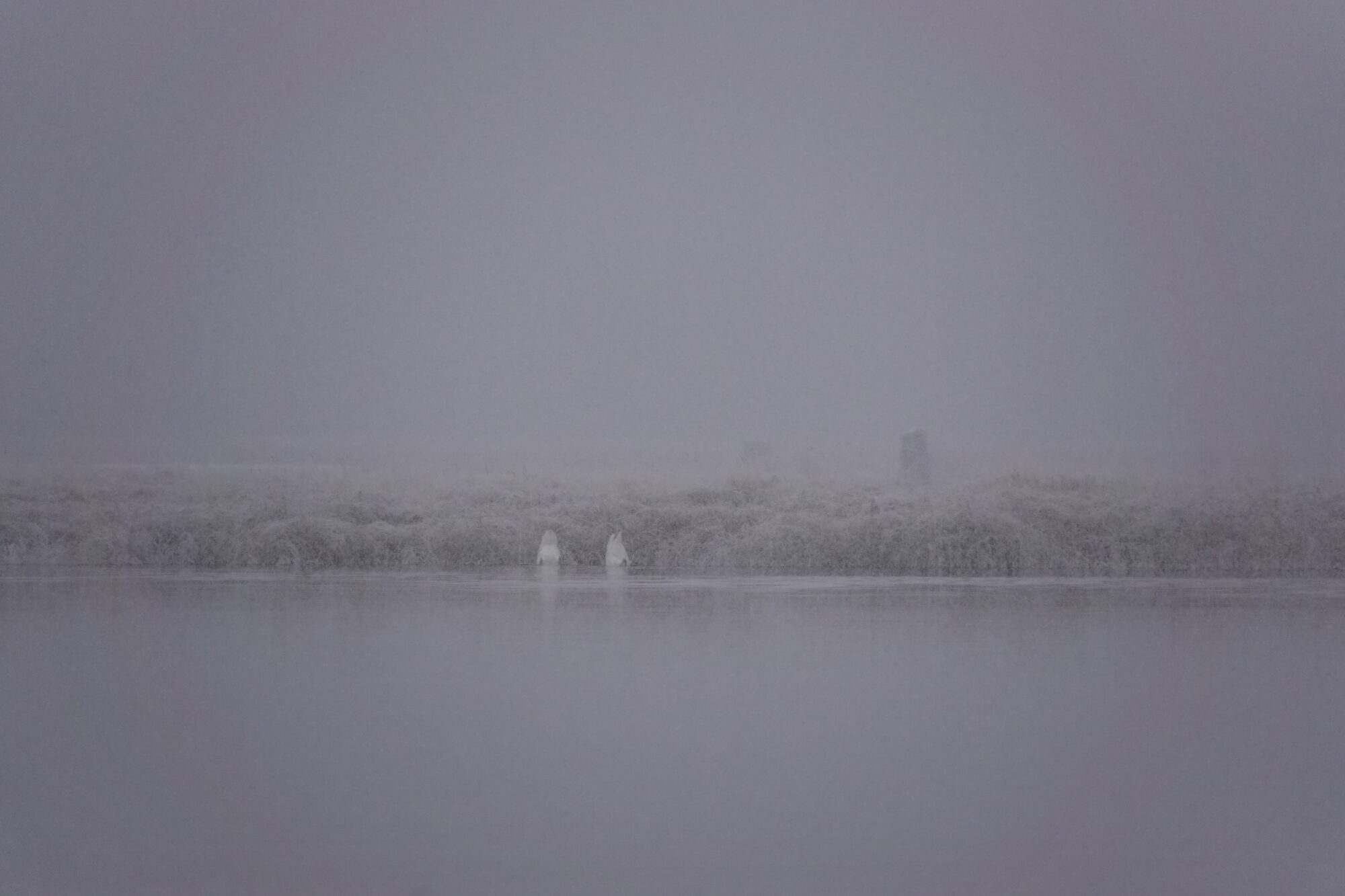 Valokuvaaja: Jenna Pitkänen