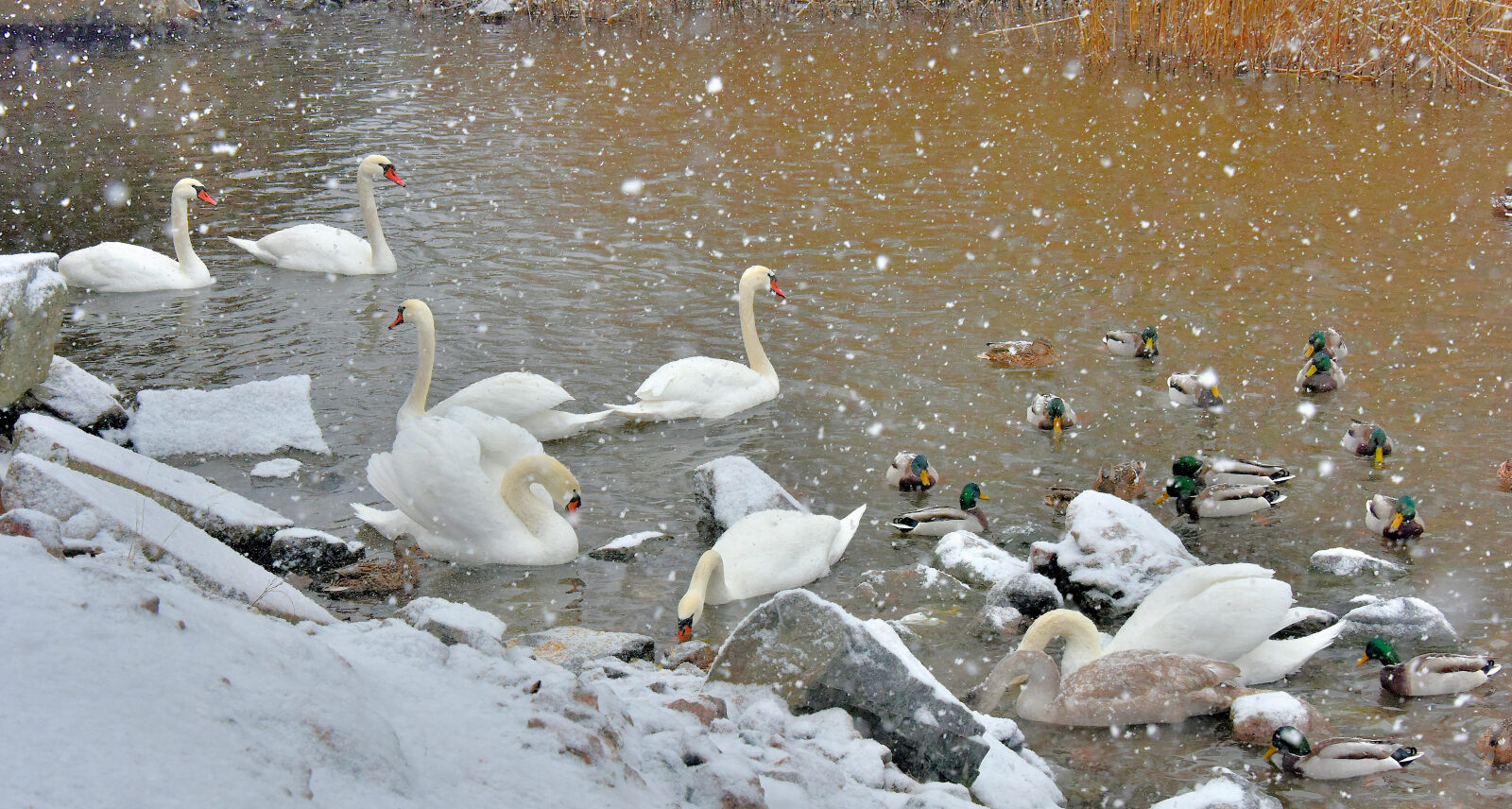 Valokuvaaja: Reijo Juurinen