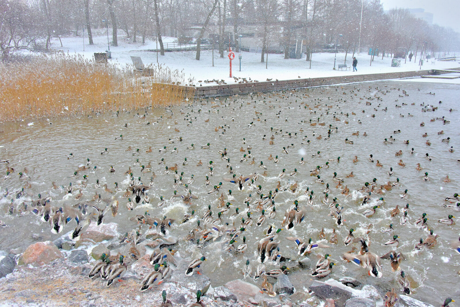 Valokuvaaja: Reijo Juurinen