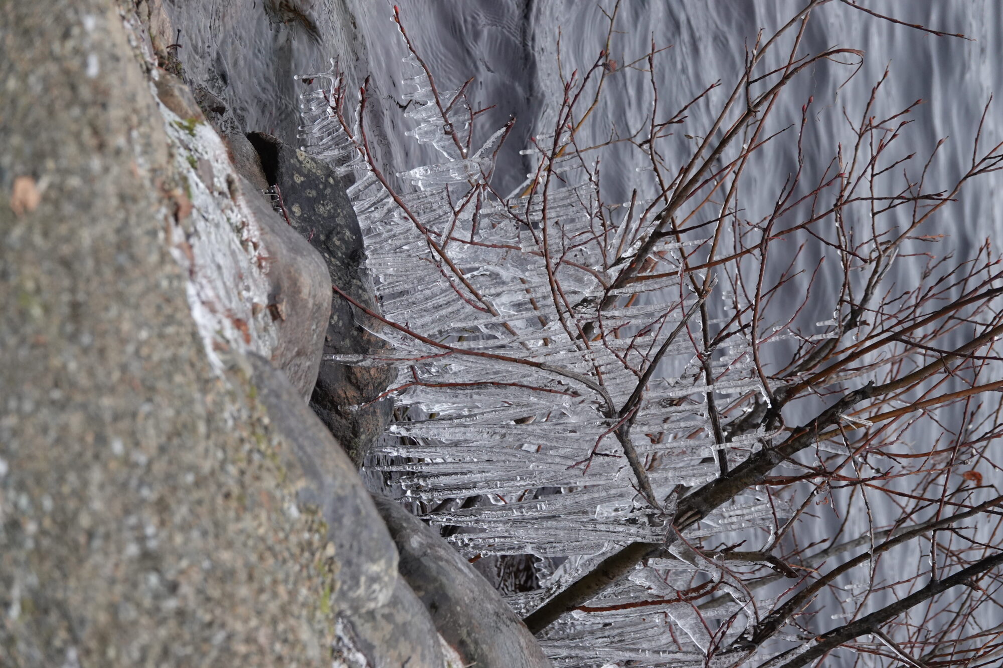 Valokuvaaja: Jenna Pitkänen