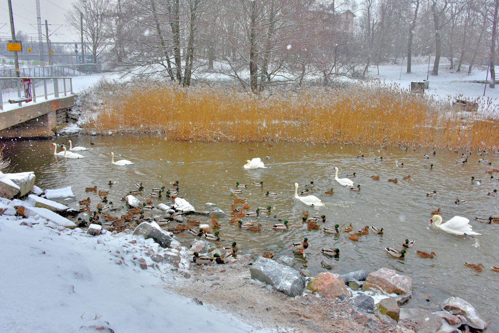 Valokuvaaja: Reijo Juurinen