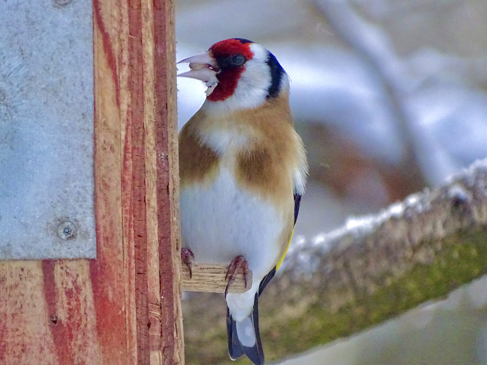 Valokuvaaja: Juhani Peltonen