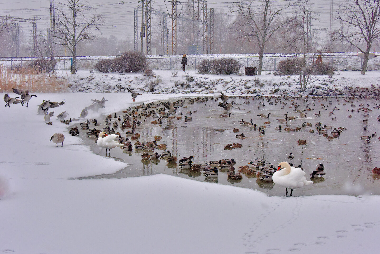 Valokuvaaja: Reijo Juurinen