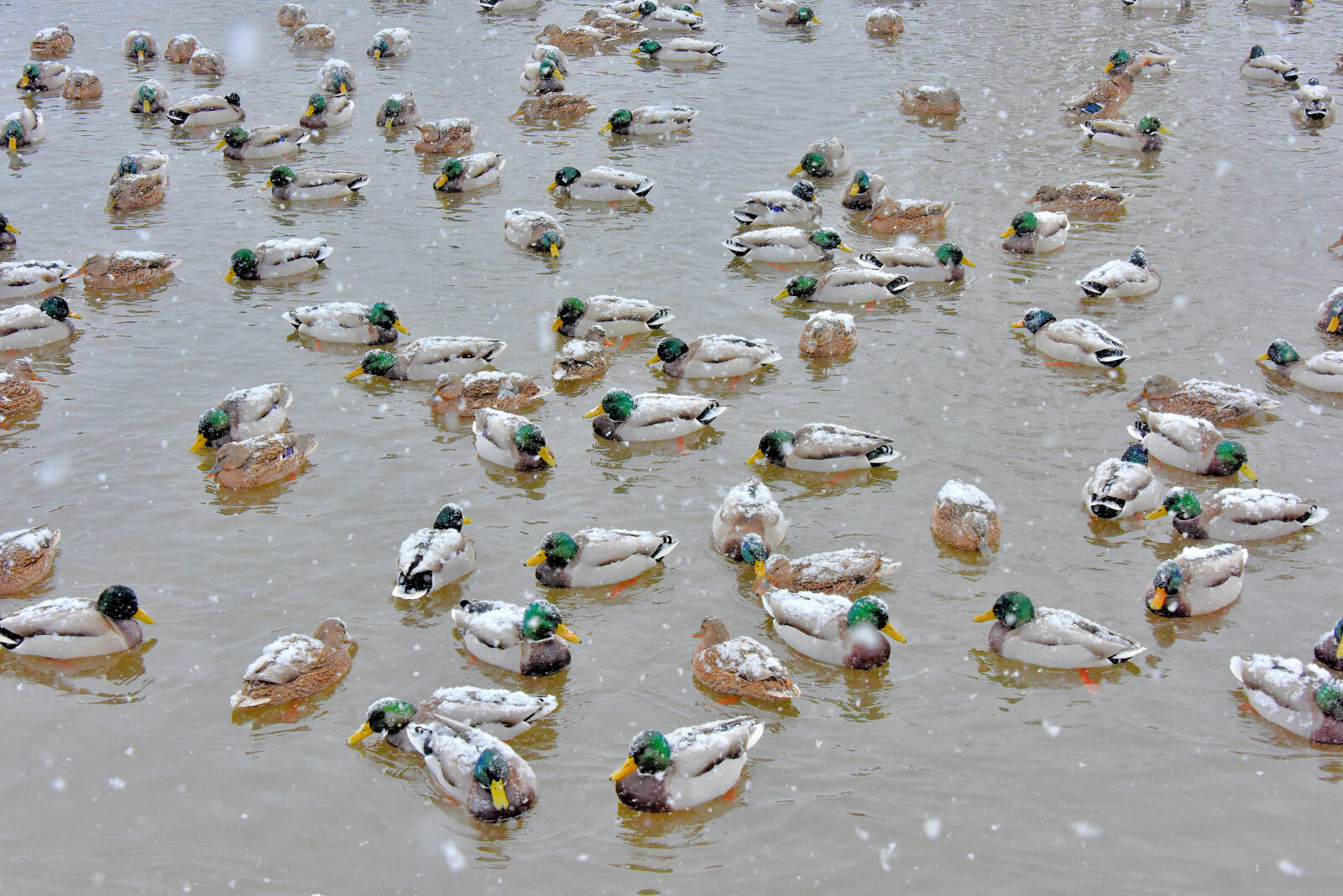 Valokuvaaja: Reijo Juurinen