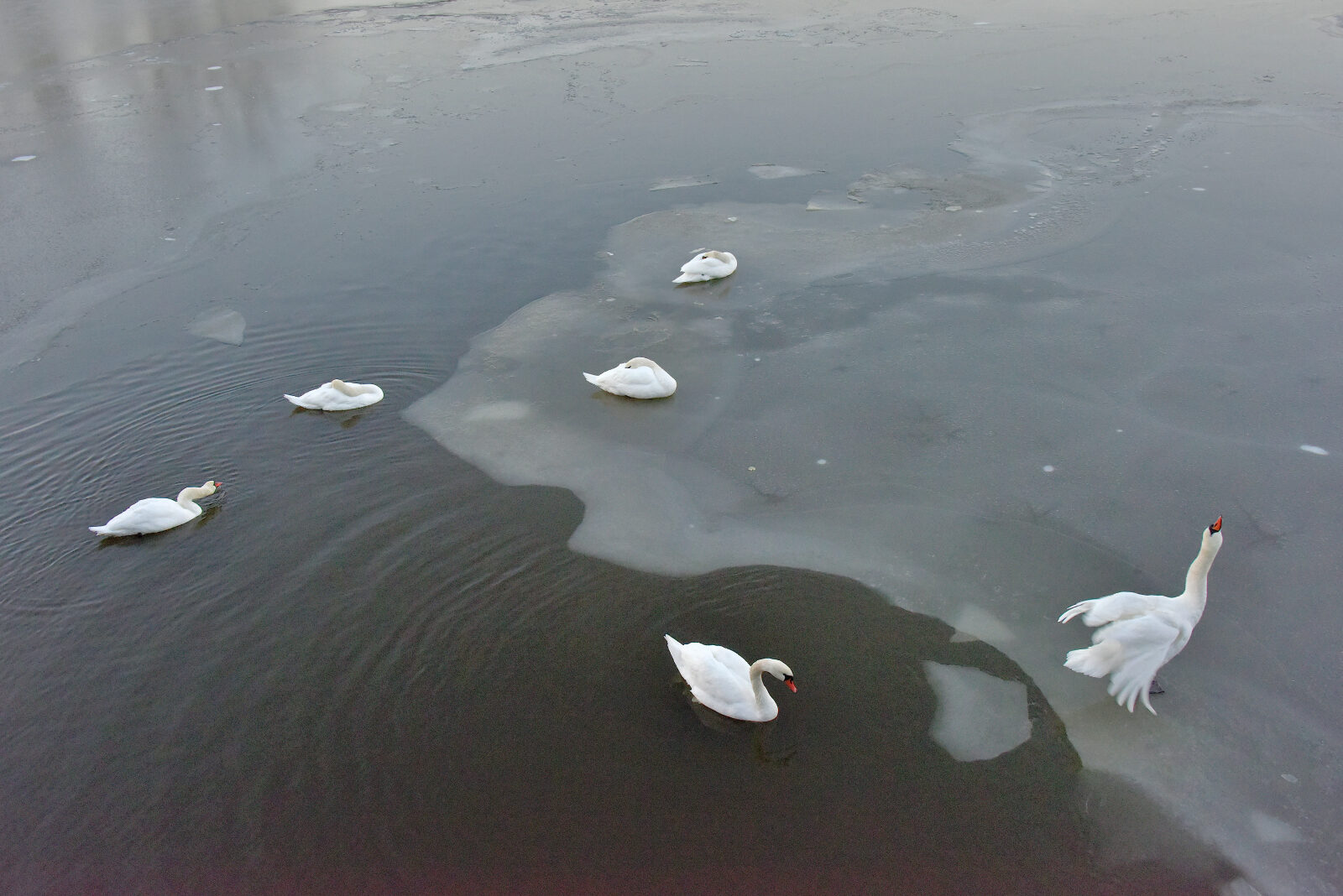Valokuvaaja: Reijo Juurinen