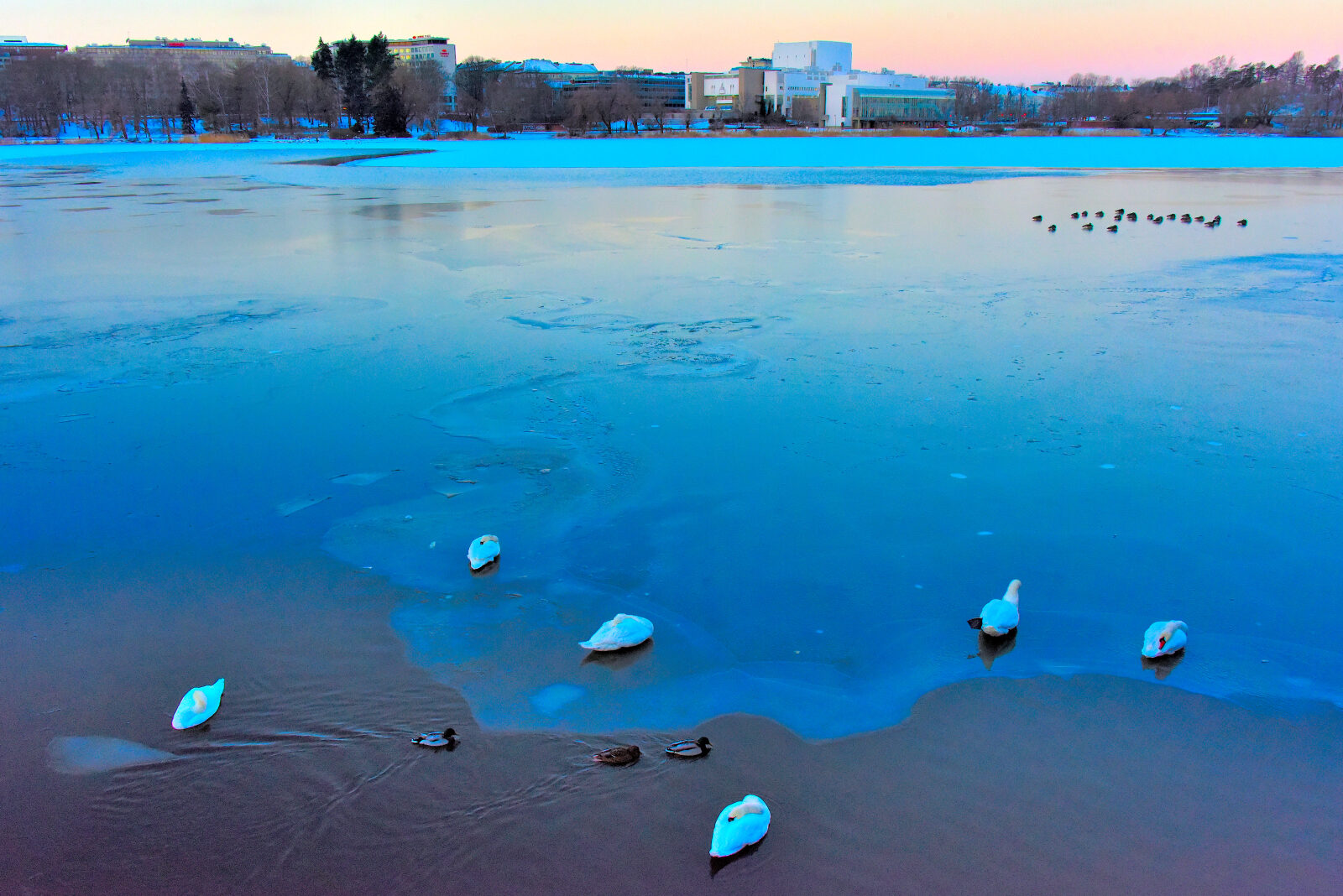 Valokuvaaja: Reijo Juurinen
