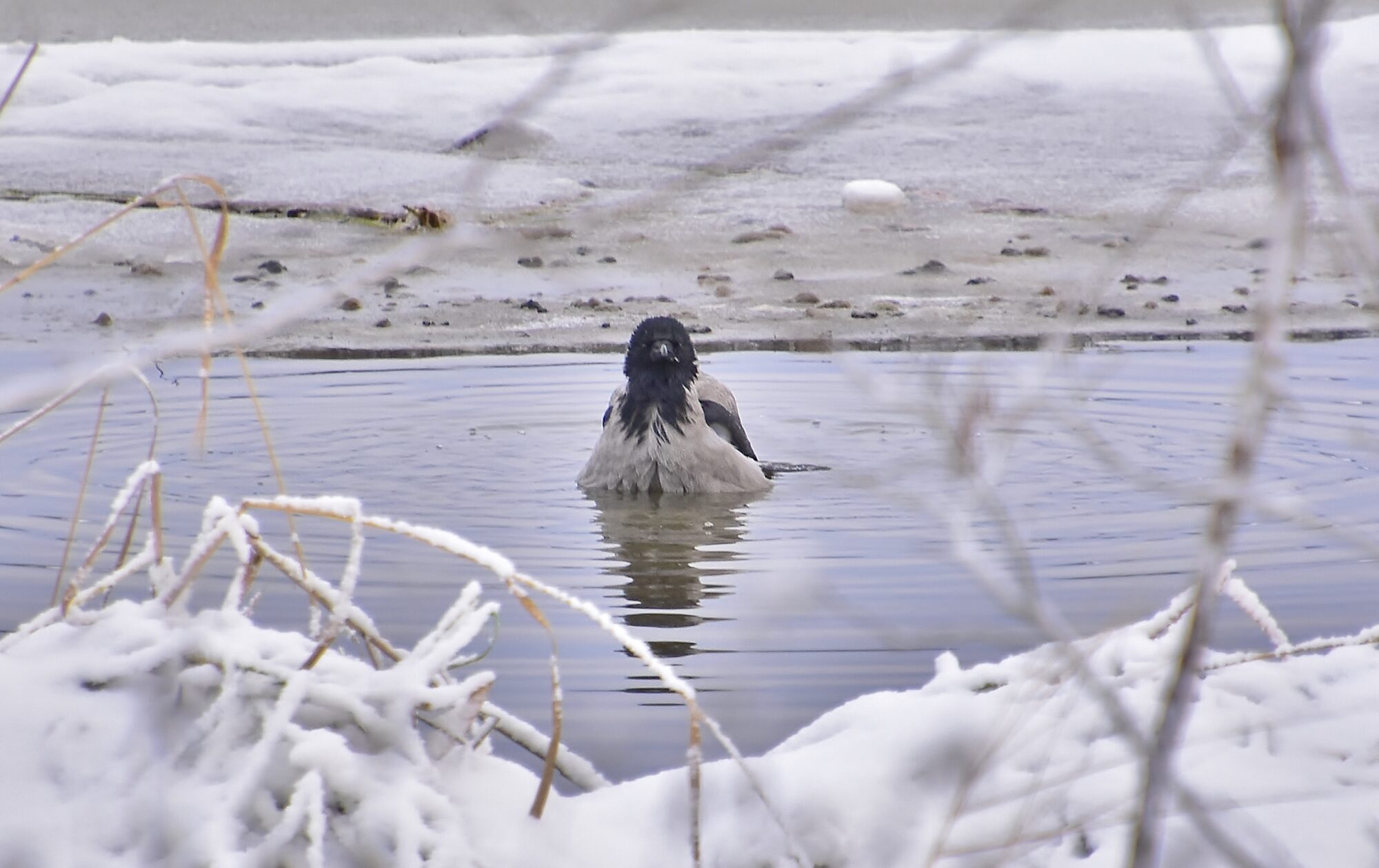 Valokuvaaja: Markku Pelkonen