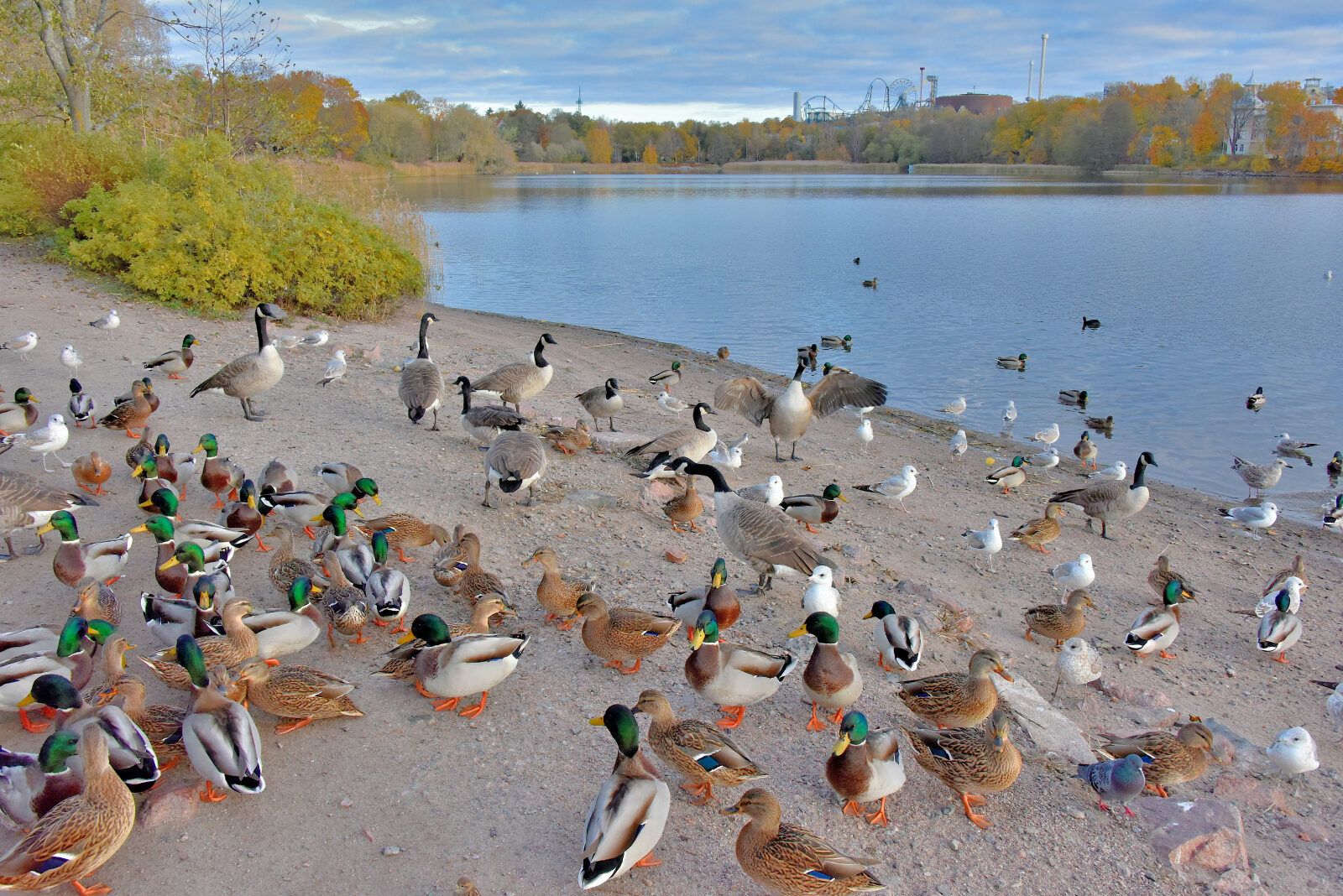 Valokuvaaja: Reijo Juurinen
