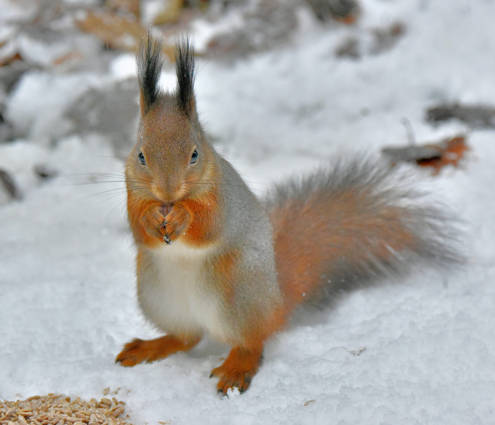 Valokuvaaja: Reijo Juurinen