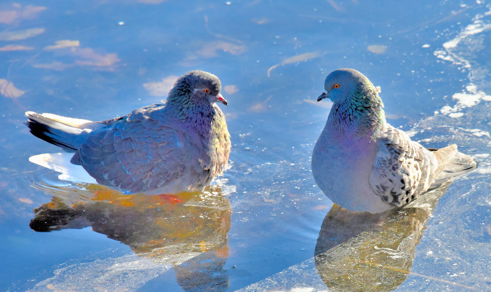 Valokuvaaja: Reijo Juurinen