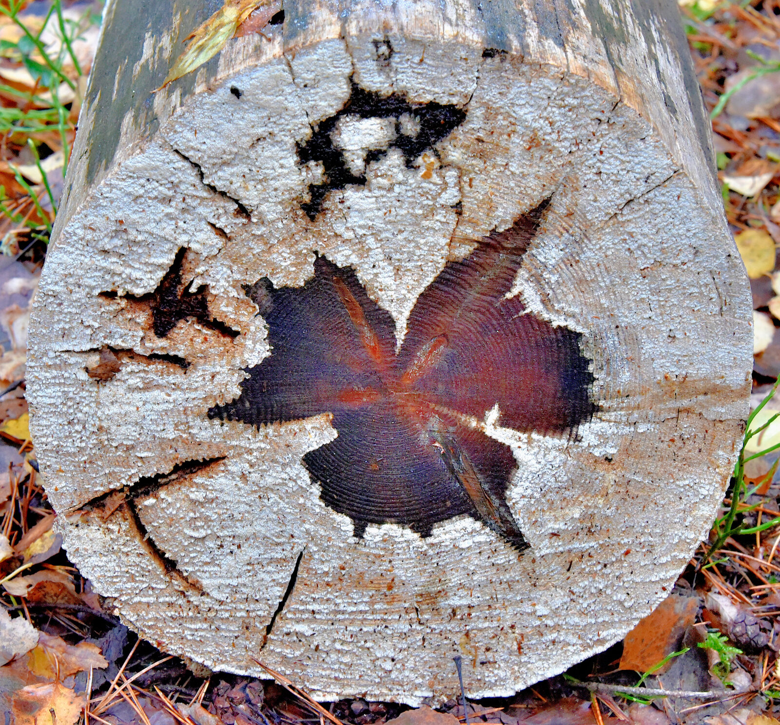 Valokuvaaja: Reijo Juurinen
