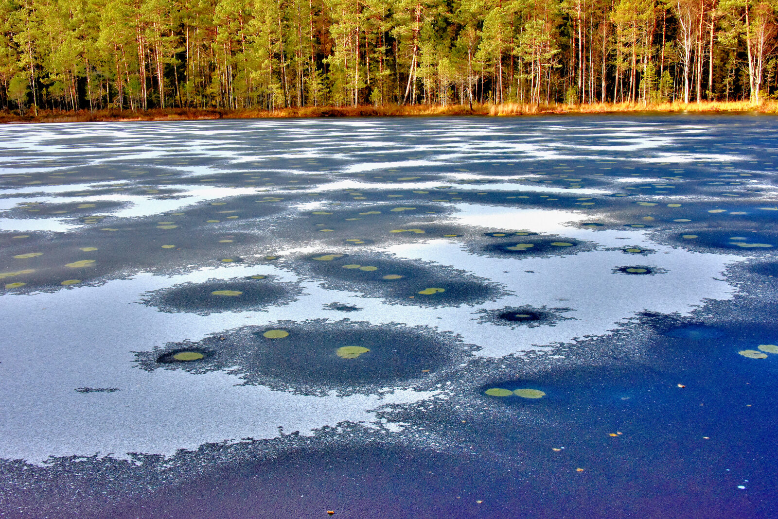 Valokuvaaja: Reijo Juurinen
