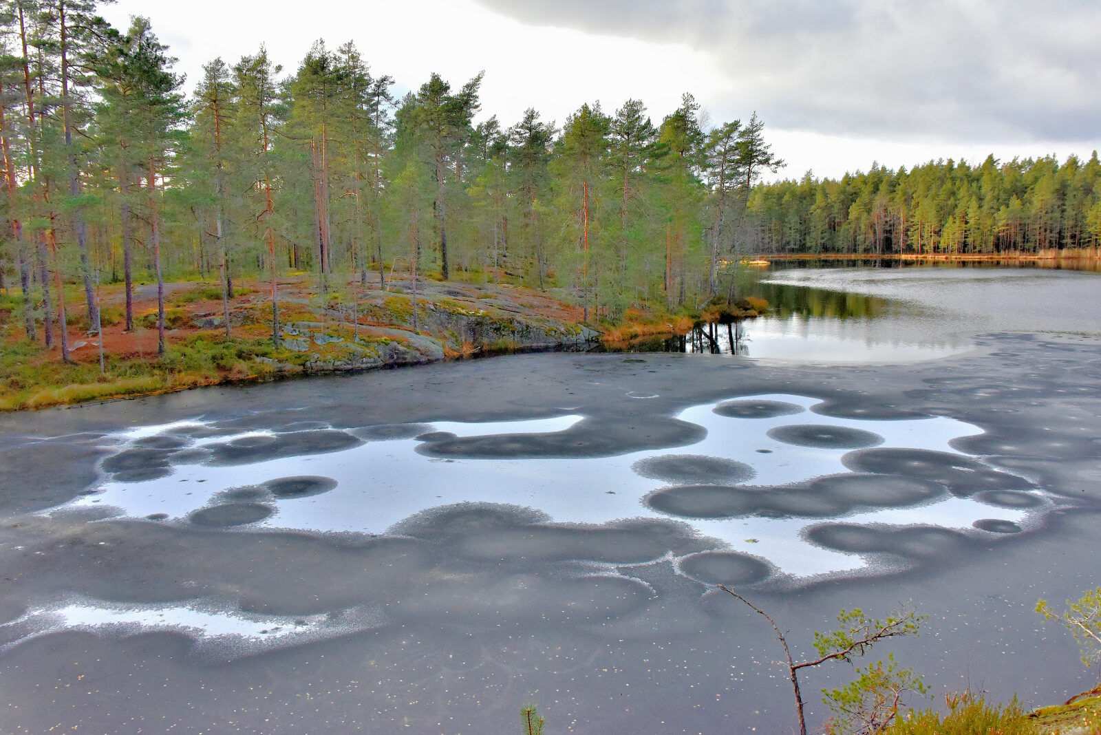 Valokuvaaja: Reijo Juurinen Valokuvaaja: Reijo Juurinen
