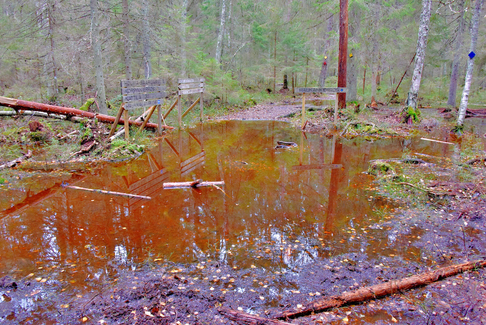 Valokuvaaja: Reijo Juurinen
