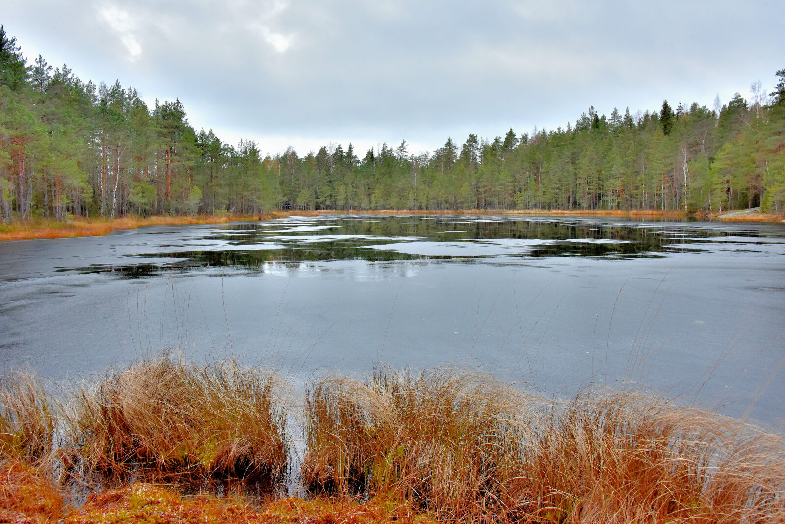 Valokuvaaja: Reijo Juurinen Valokuvaaja: Reijo Juurinen