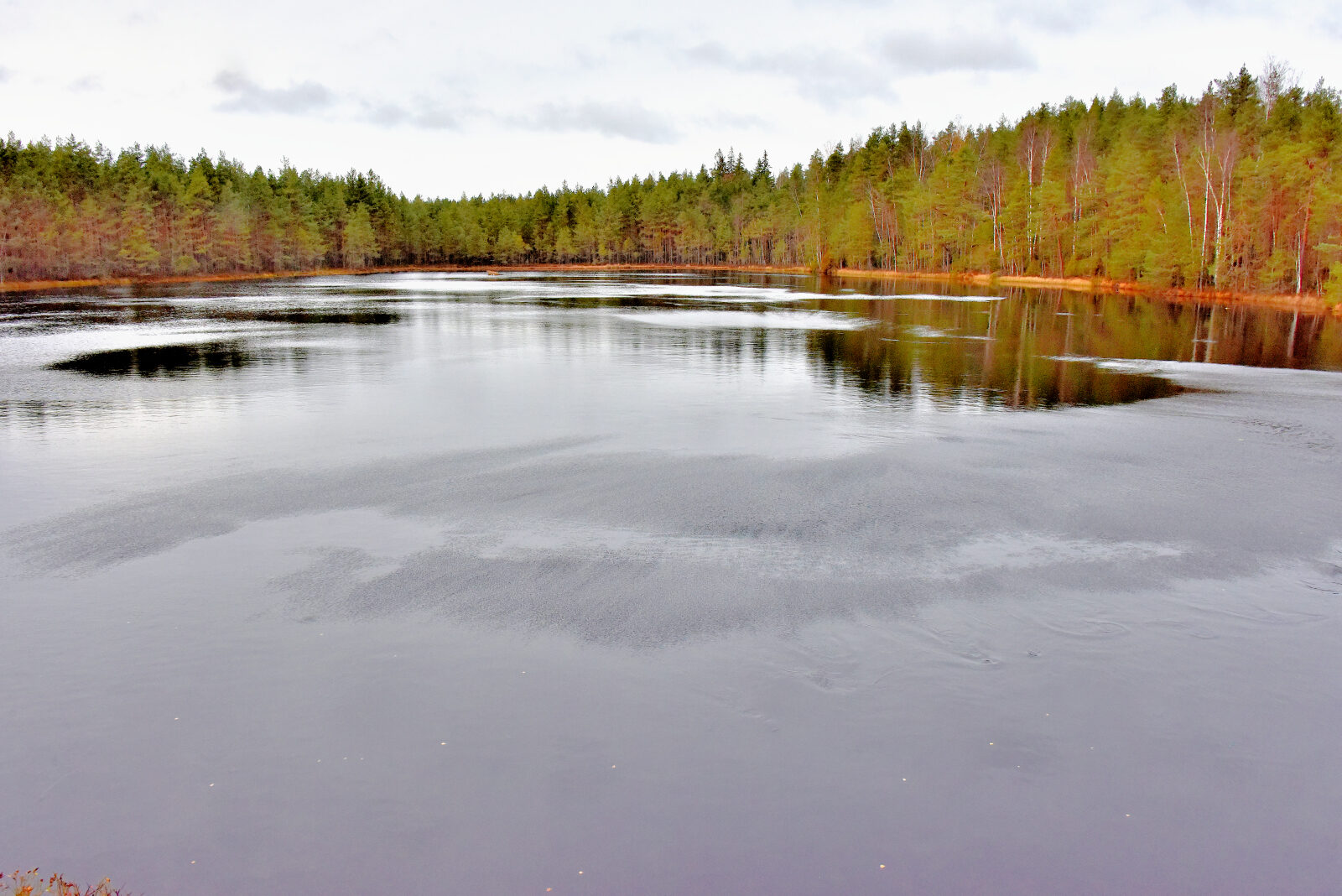 Valokuvaaja: Reijo Juurinen