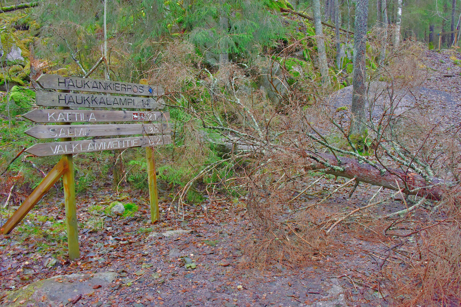 Valokuvaaja: Reijo Juurinen