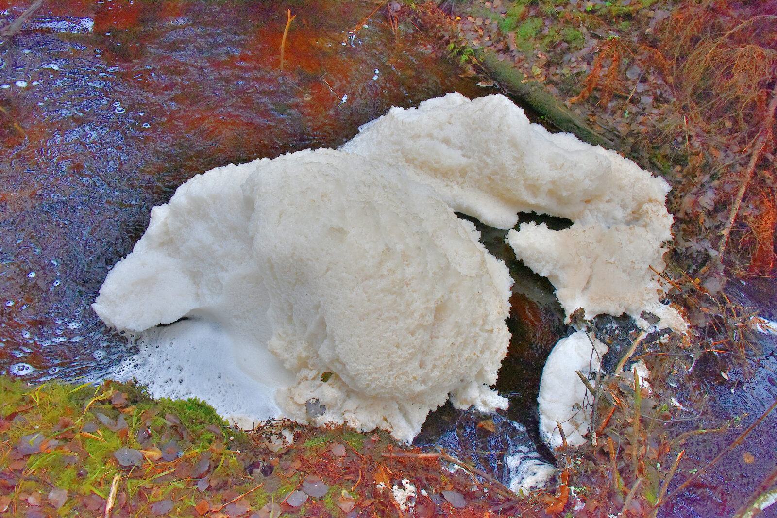 Valokuvaaja: Reijo Juurinen