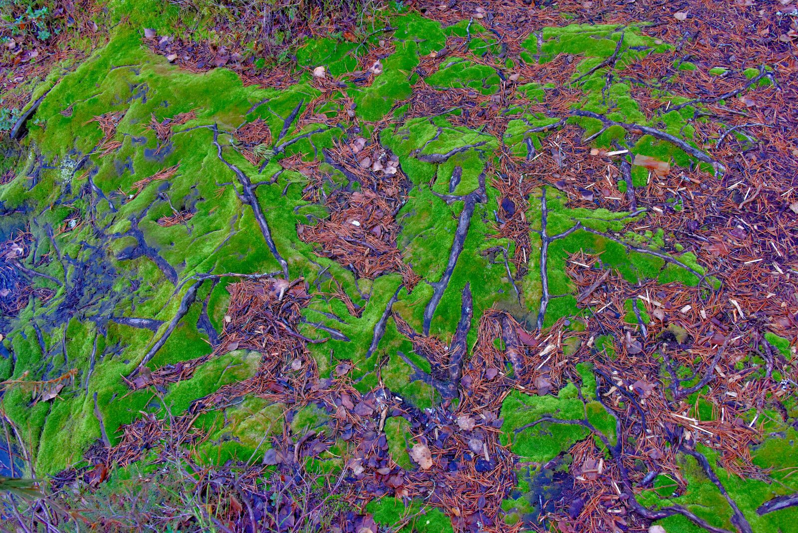 Valokuvaaja: Reijo Juurinen